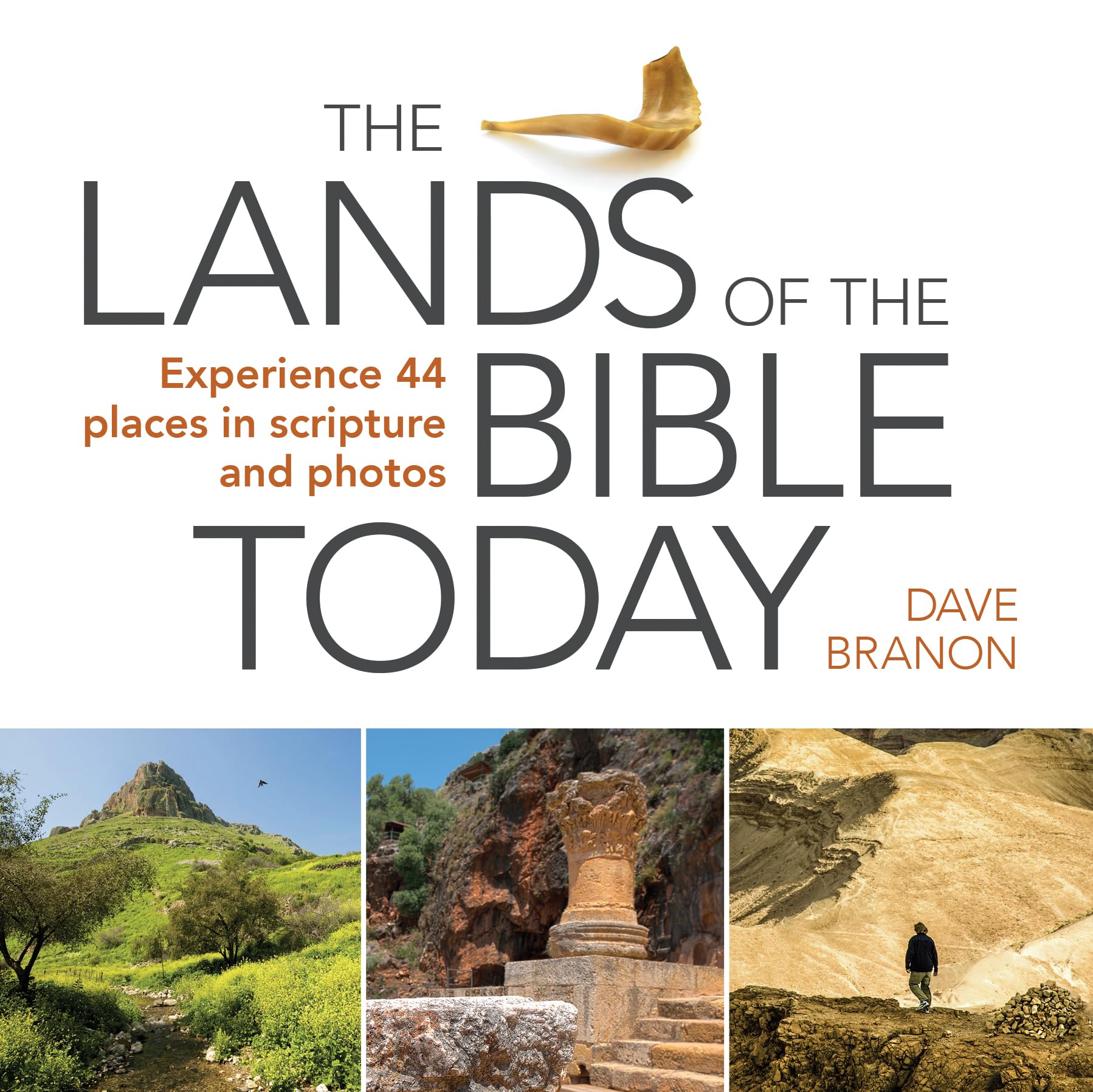 The Lands of the Bible Today: Experience 44 Places in Scripture and Photos used book depot