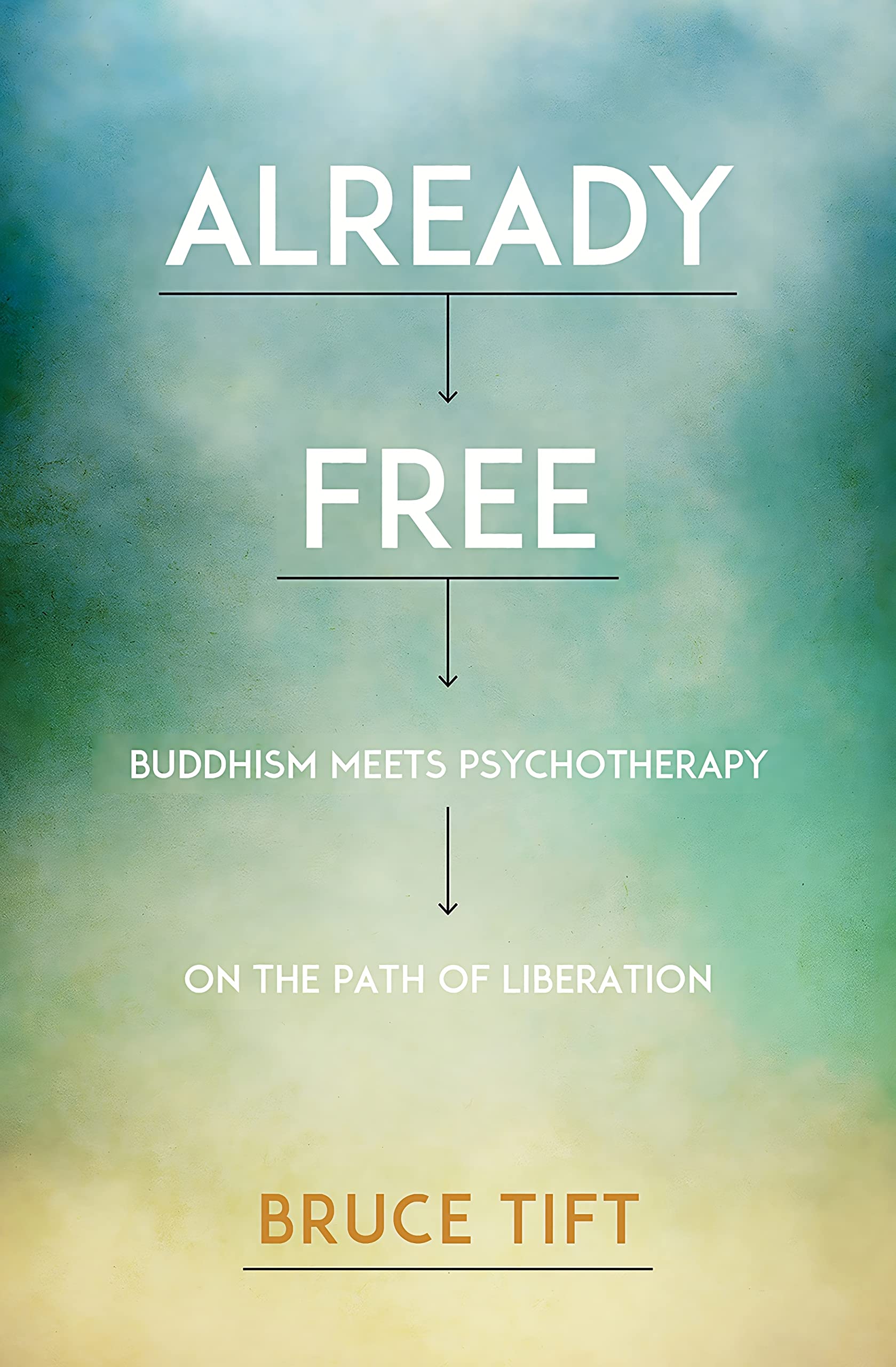 Already Free: Buddhism Meets Psychotherapy on the Path of Liberation used book depot
