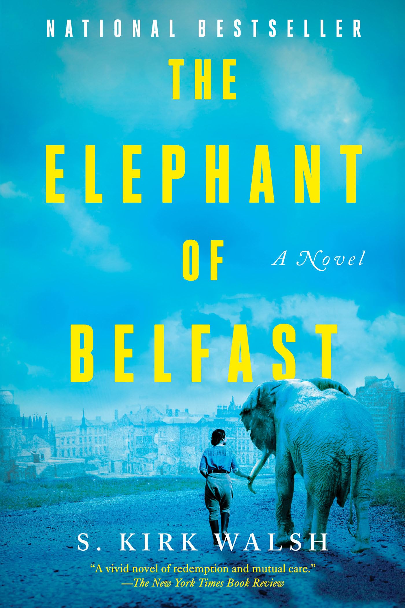 The Elephant of Belfast: A Novel used book depot