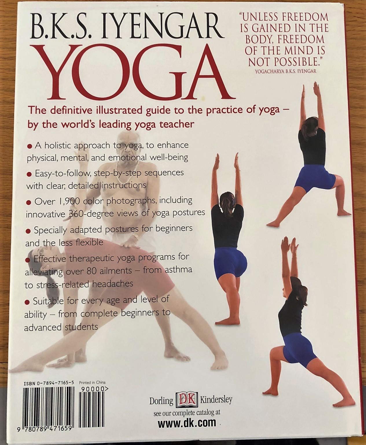 Yoga: THE PATH TO HOLISTIC HEALTH used book depot