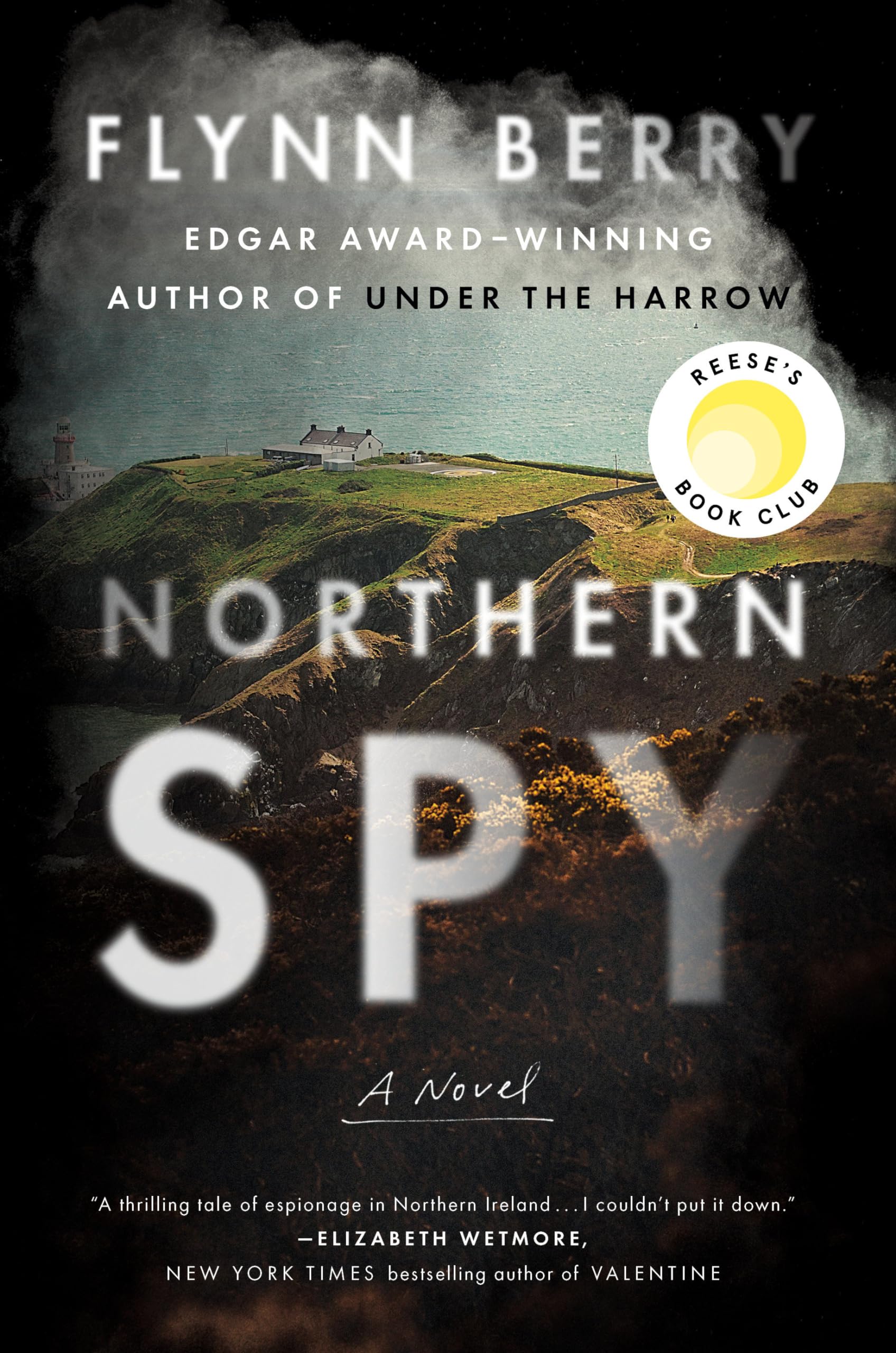 Northern Spy: A Novel used book depot