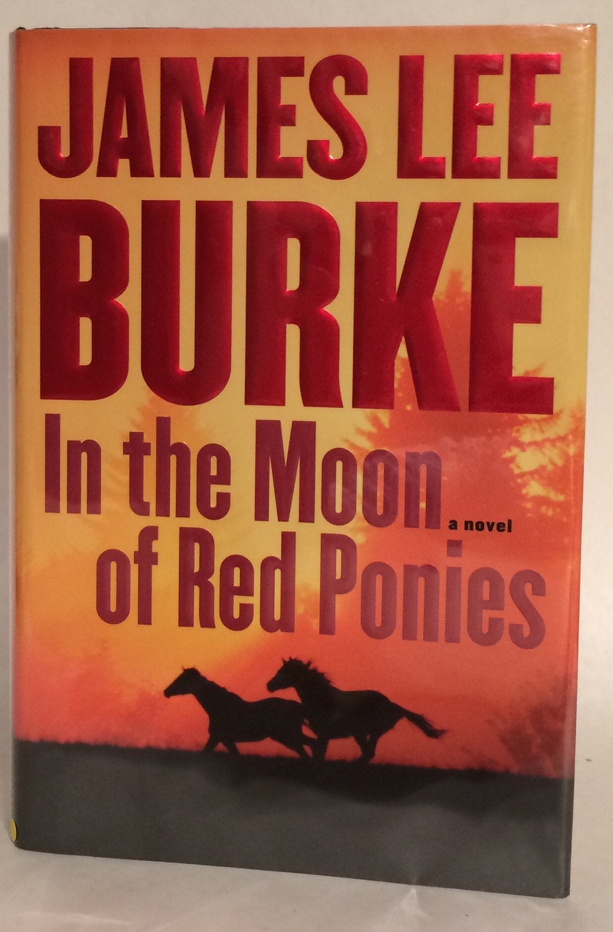 In the Moon of Red Ponies: A Novel used book depot