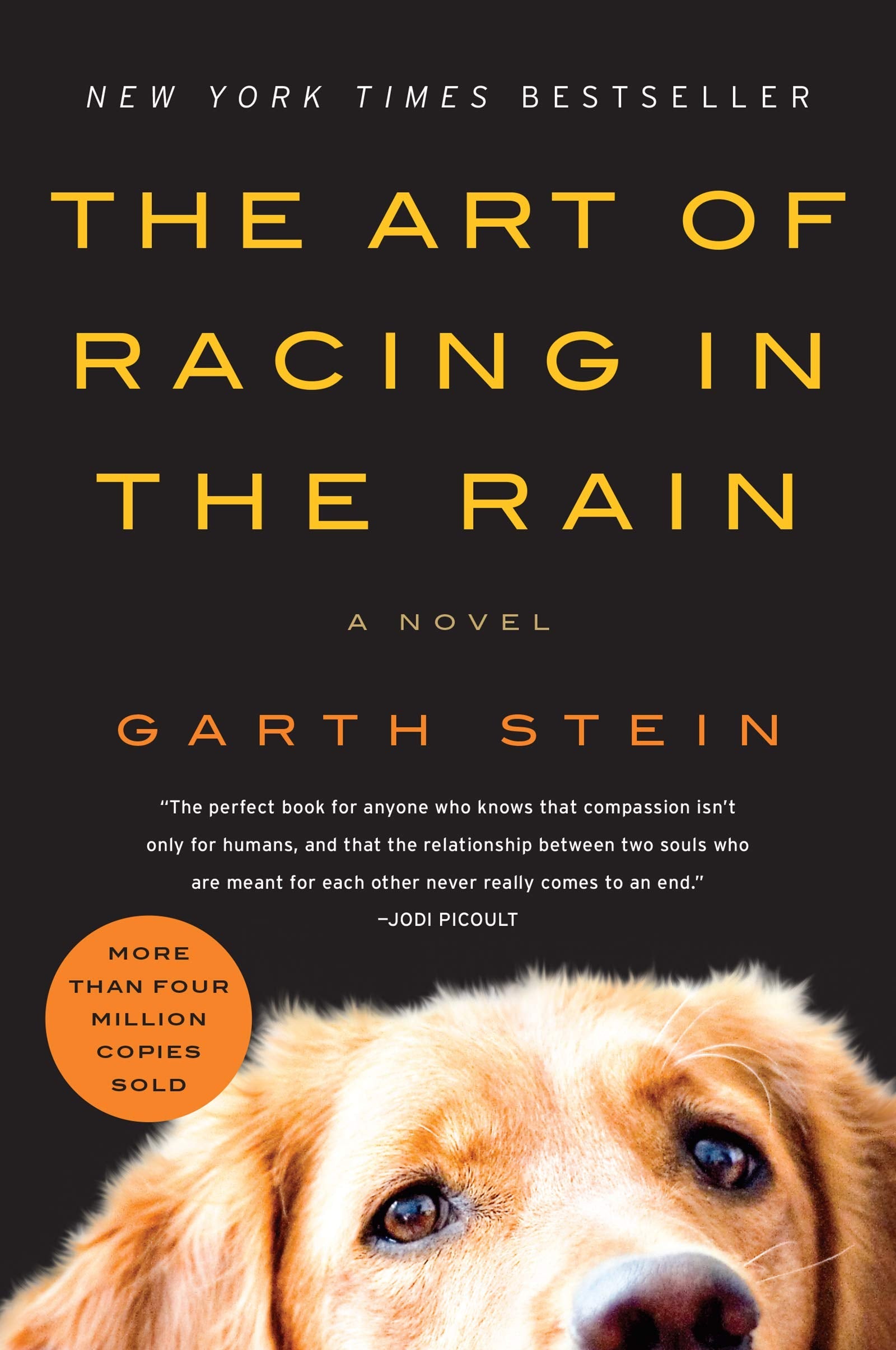 The Art of Racing in the Rain: A Novel used book depot