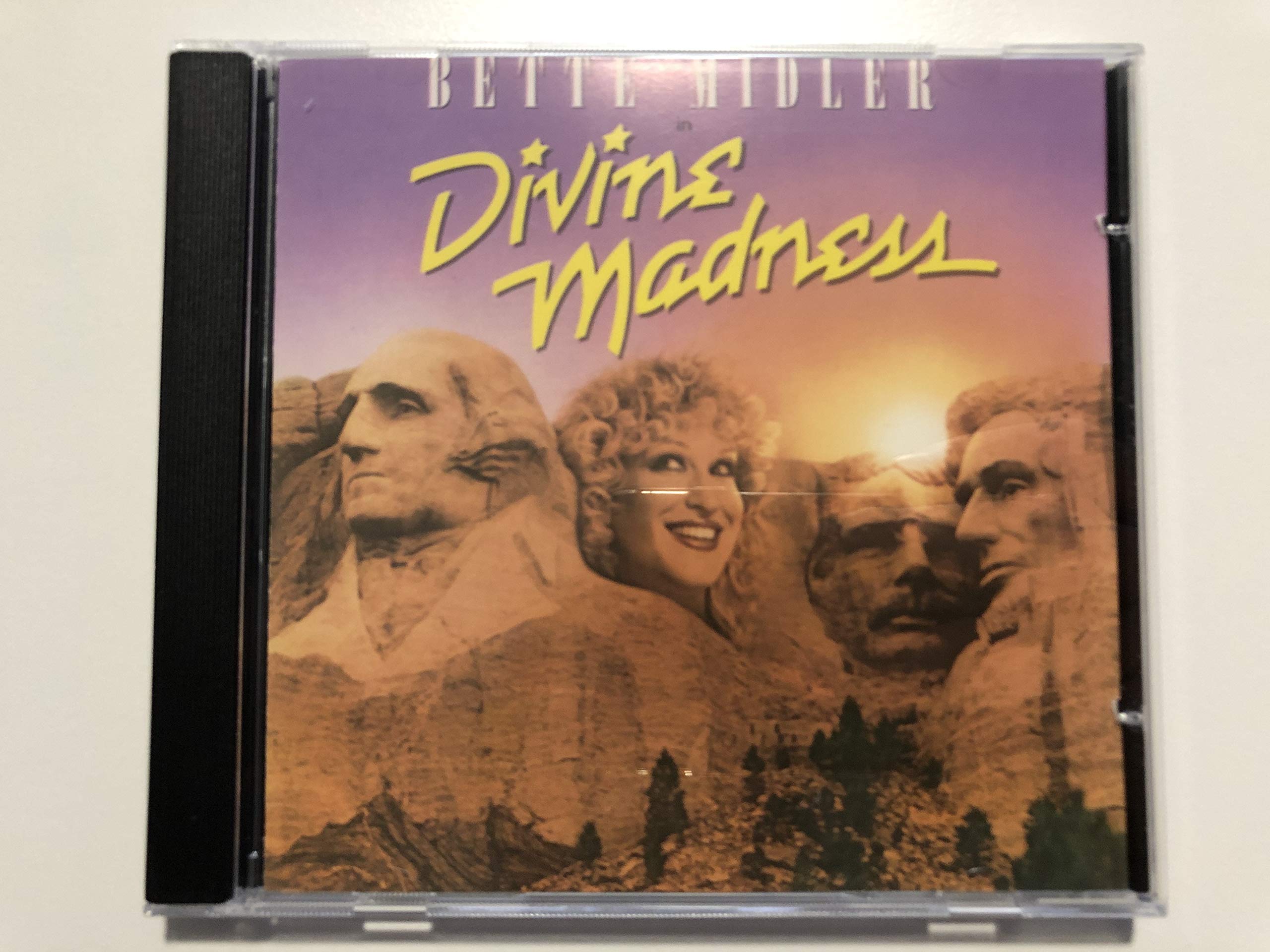 Divine Madness used book depot