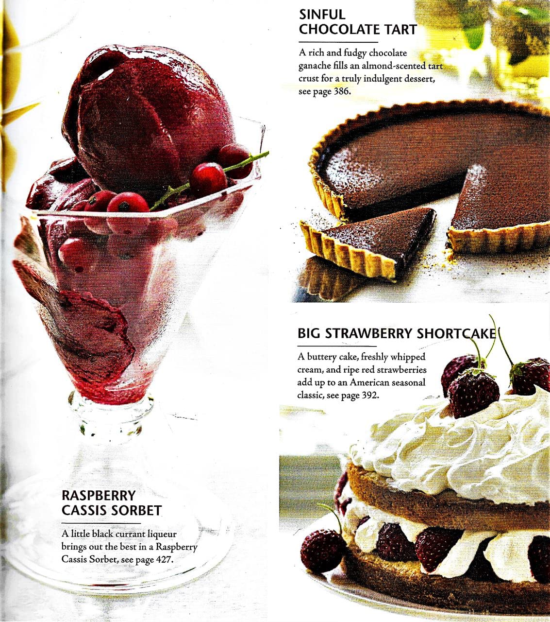 Ten: All the Foods We Love and 10 Perfect Recipes for Each used book depot