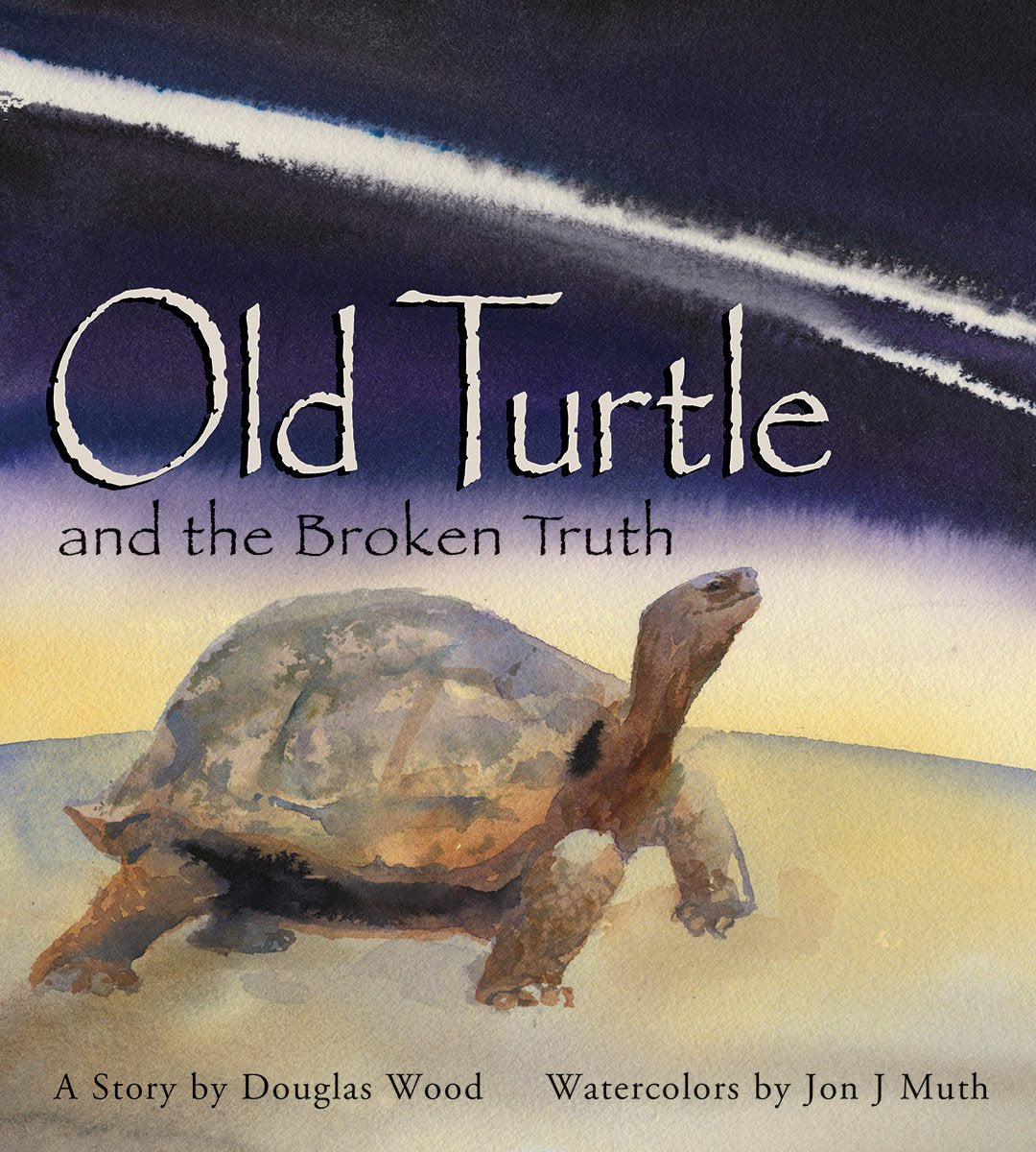 Old Turtle and the Broken Truth (Lessons of Old Turtle) used book depot