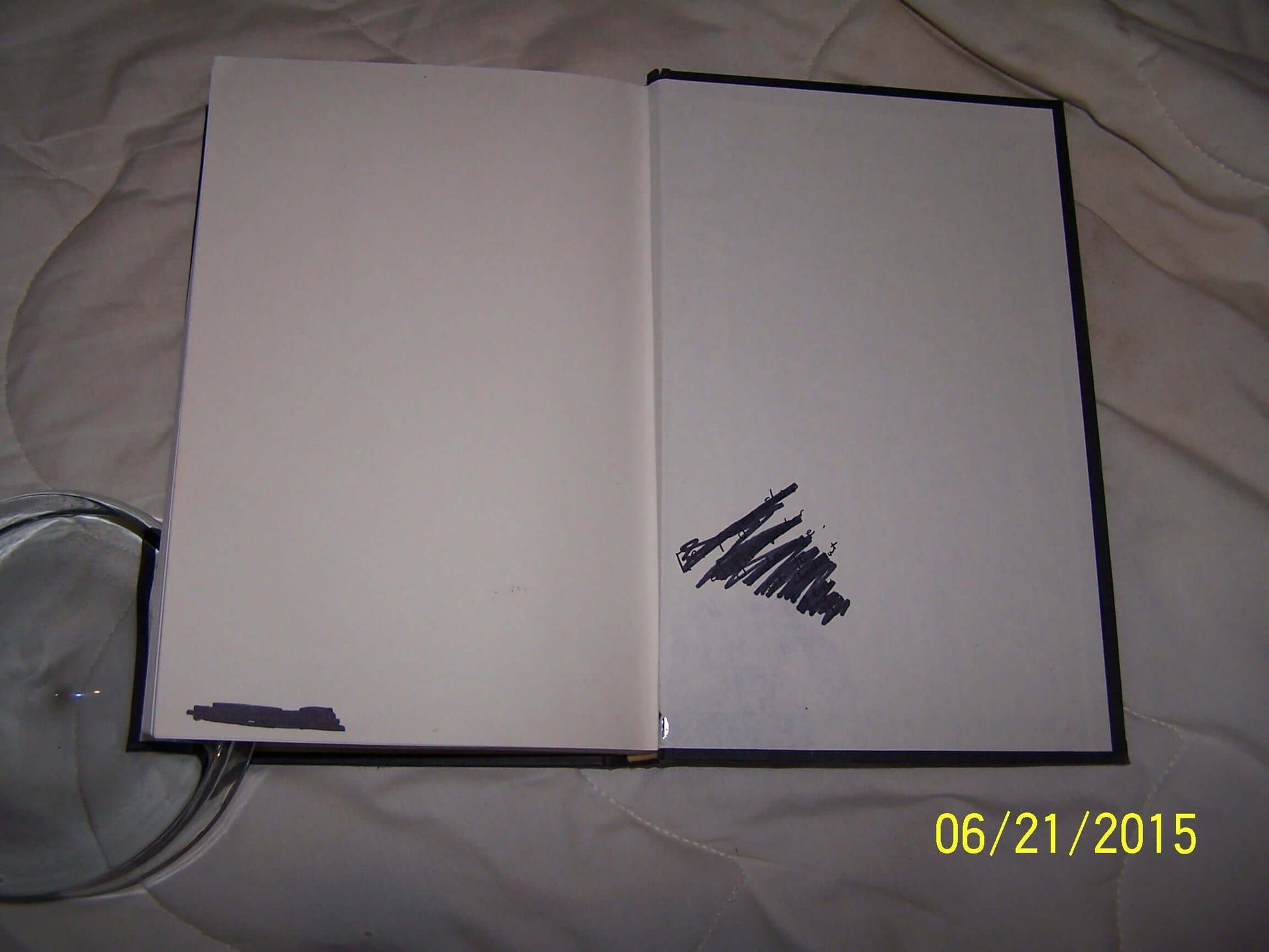 I Loved Lucy: My Friendship with Lucille Ball used book depot