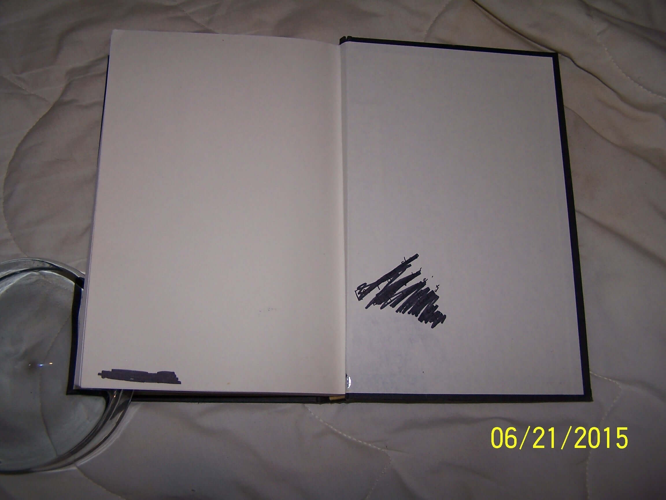 I Loved Lucy: My Friendship with Lucille Ball used book depot