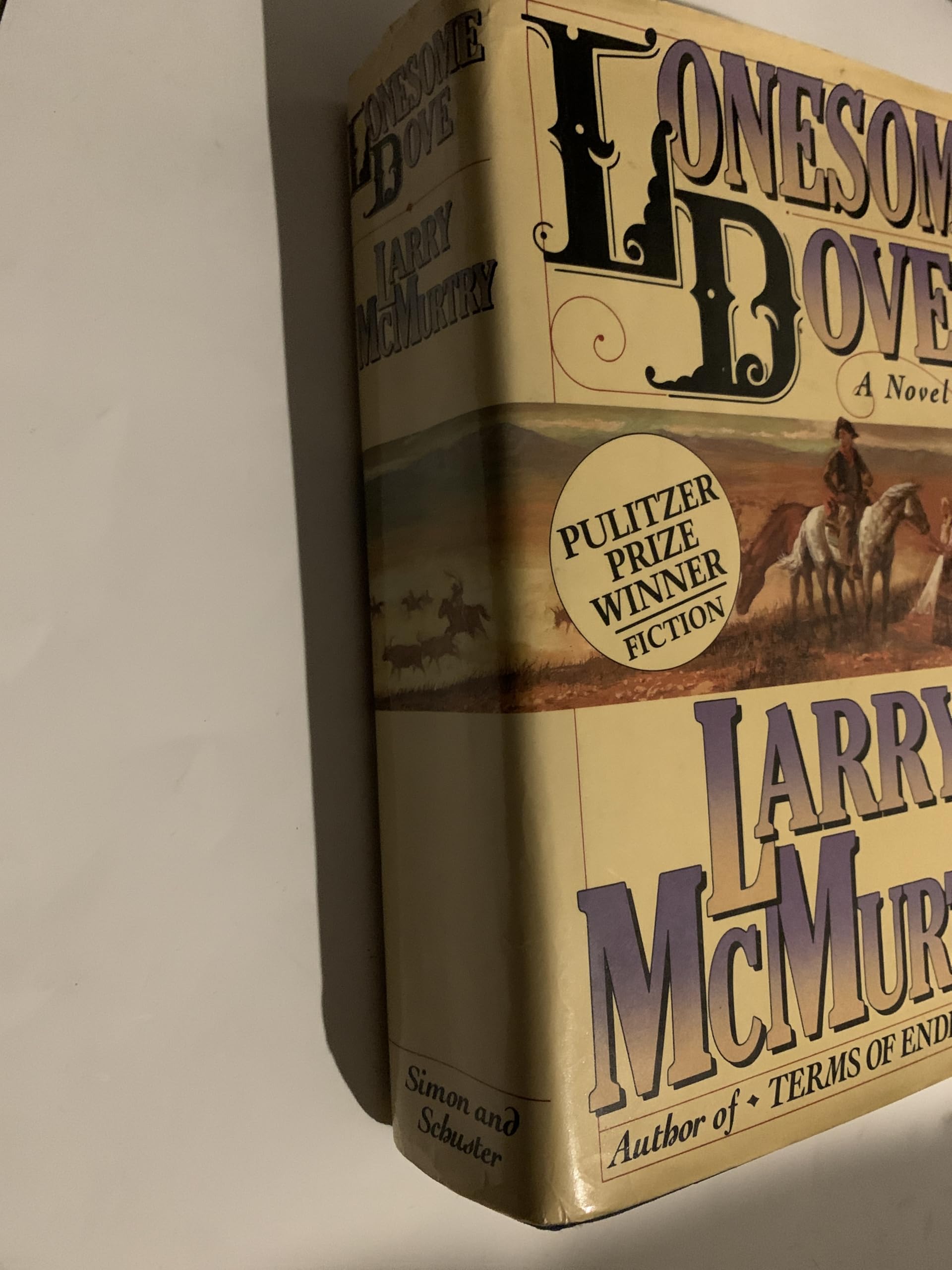 Lonesome Dove used book depot