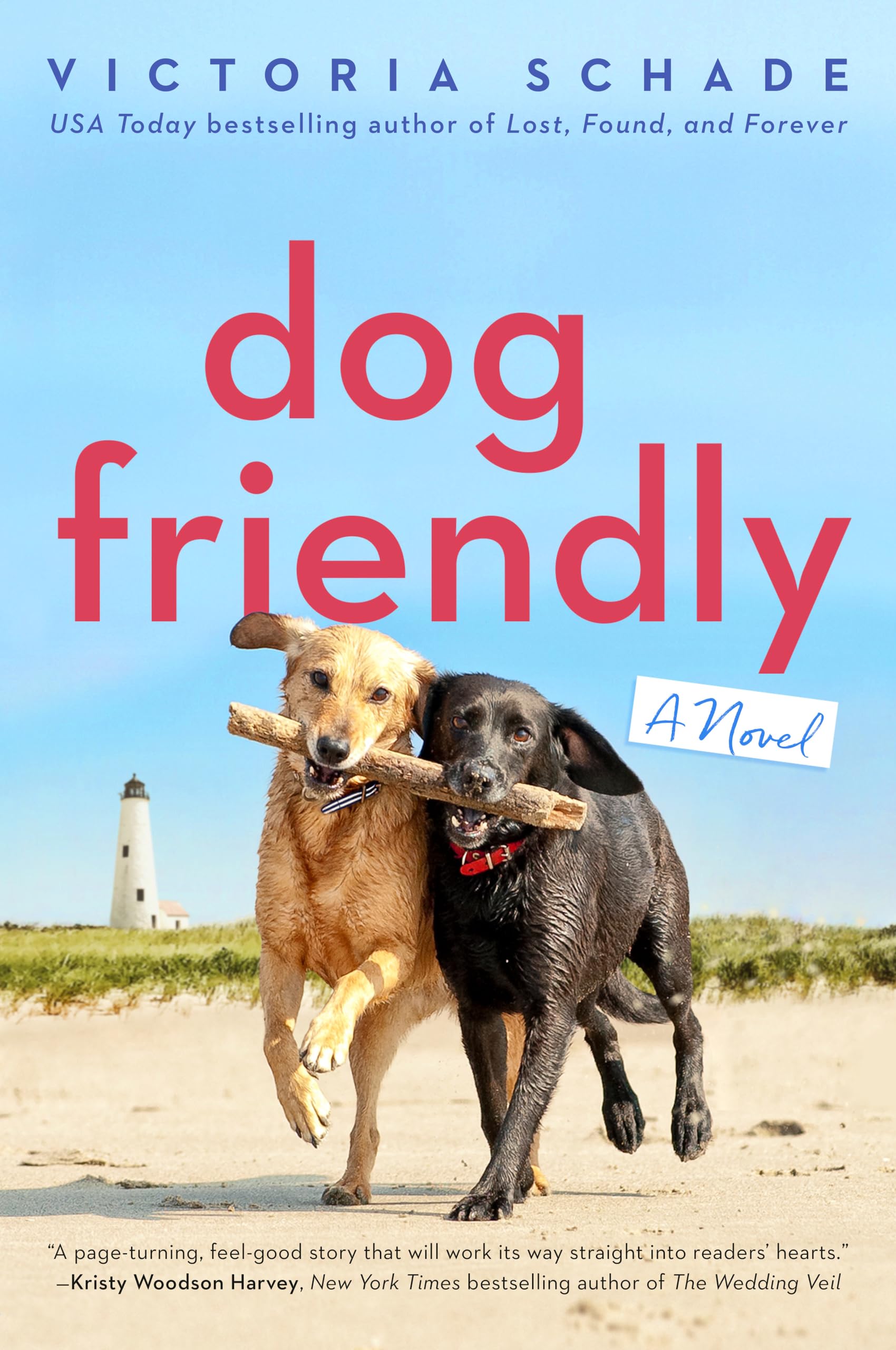 Dog Friendly used book depot