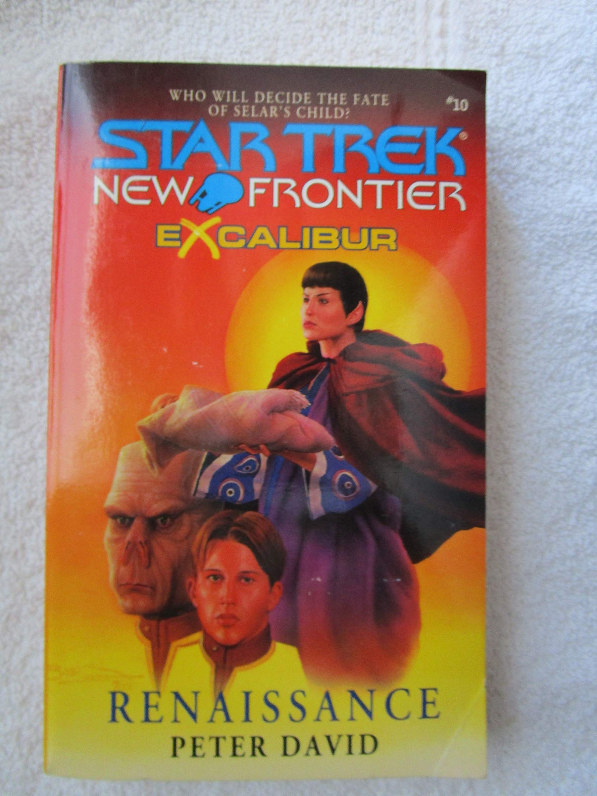 Renaissance (Star Trek New Frontier: Excalibur, Book 10) used book depot