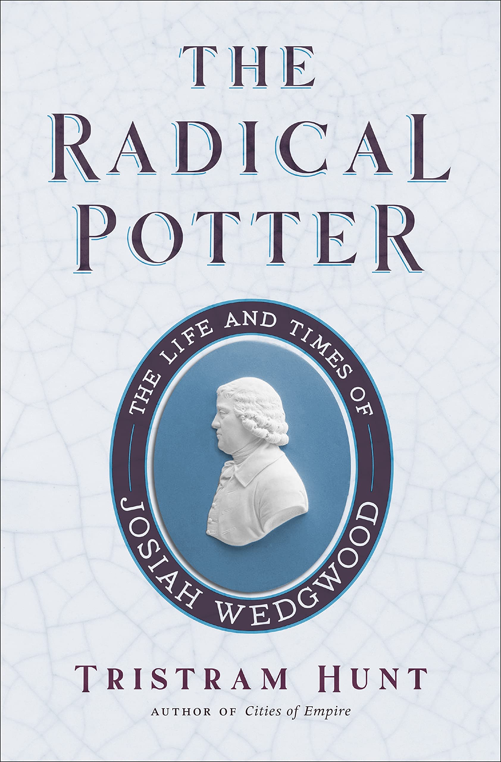 The Radical Potter: The Life and Times of Josiah Wedgwood used book depot