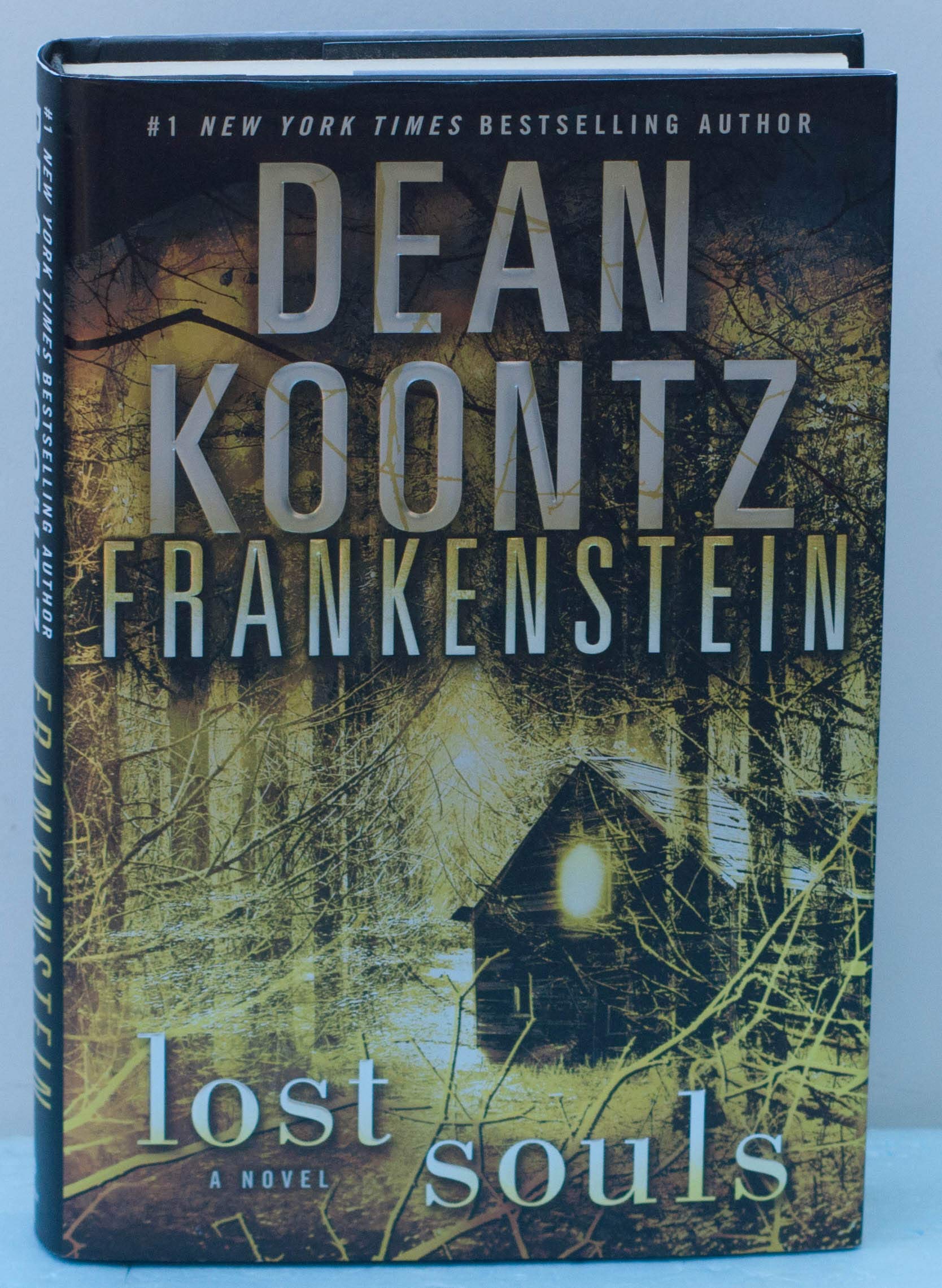 Frankenstein: Lost Souls used book depot