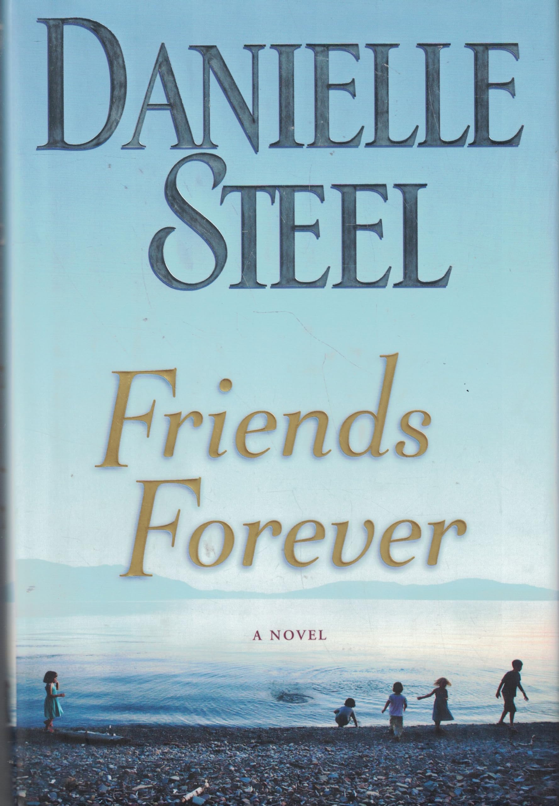 Friends Forever: A Novel used book depot