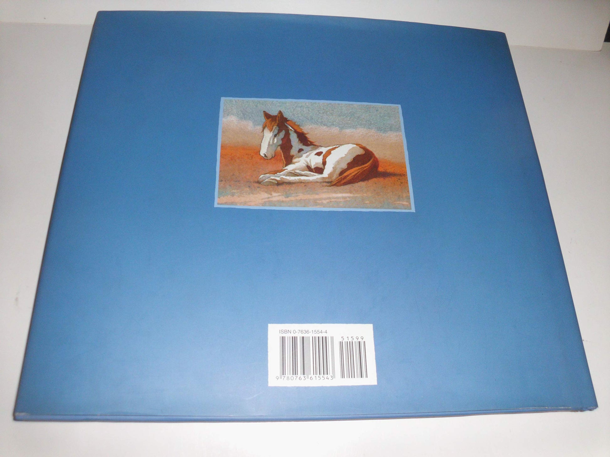 Mustang Canyon used book depot