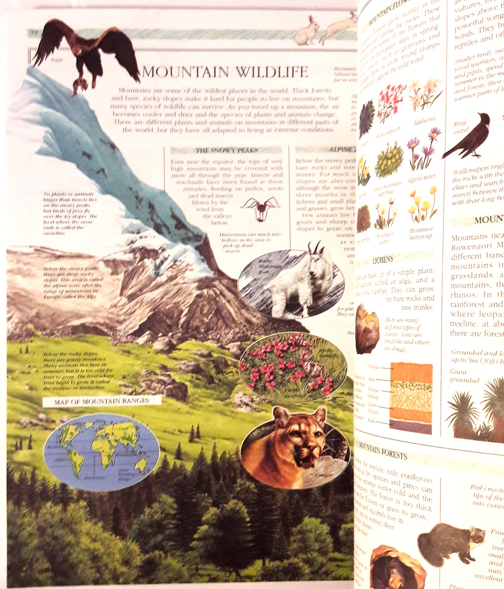 The Usborne Illustrated Encyclopedia the Natural World (Over 1,500 illustrations, projects, experime used book depot