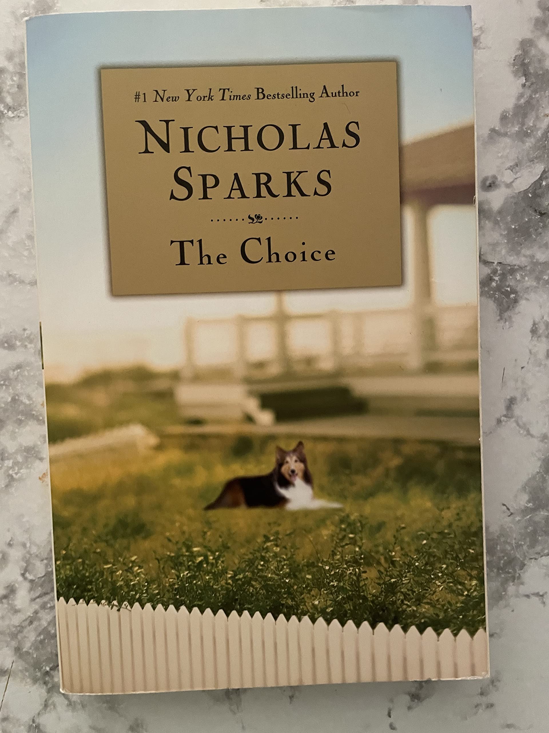 The Choice used book depot