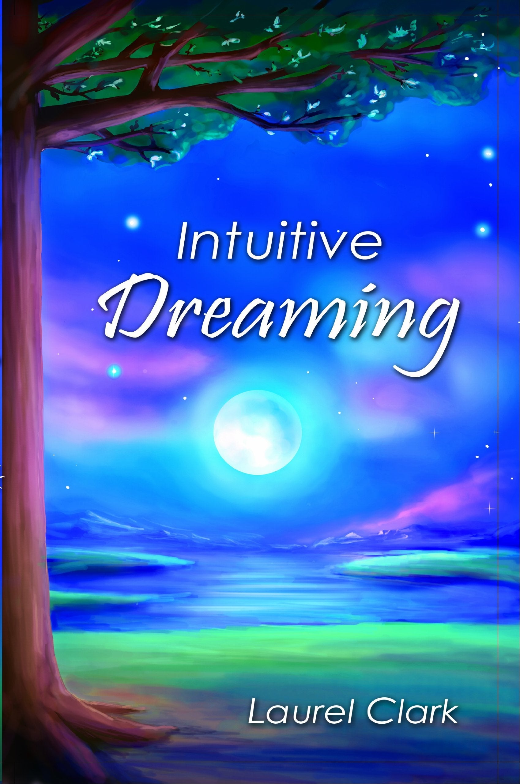 Intuitive Dreaming used book depot