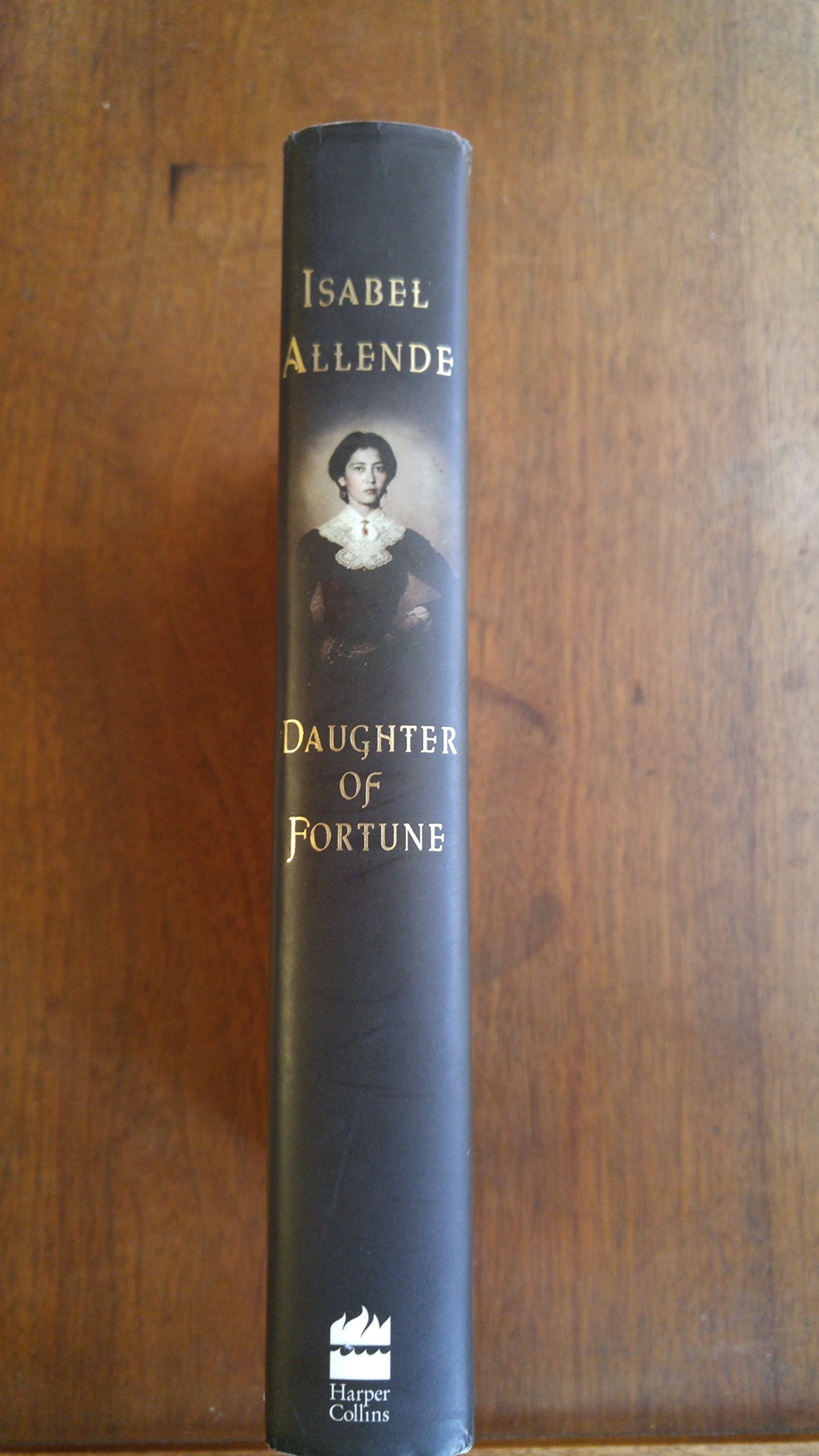 Daughter of Fortune: A Novel used book depot