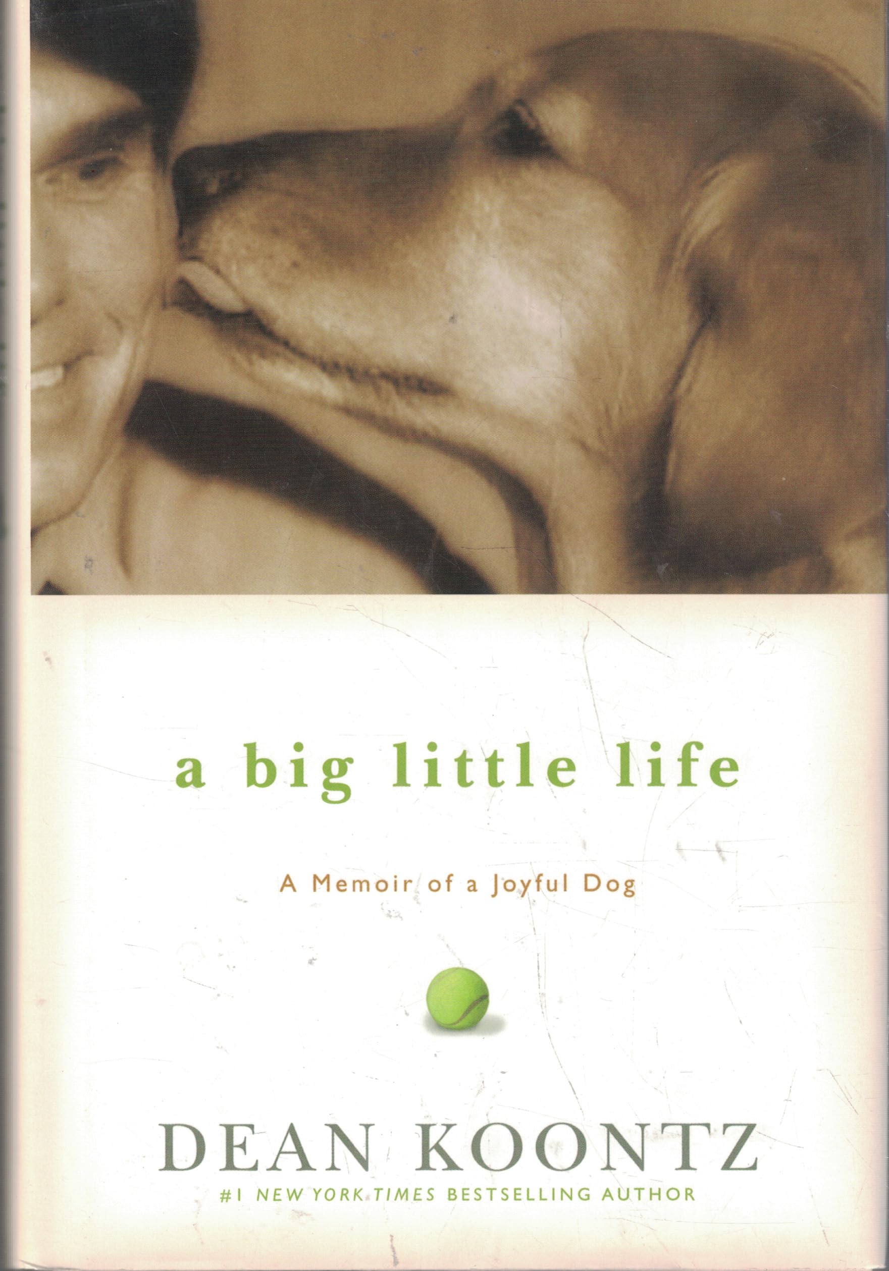A Big Little Life: A Memoir of a Joyful Dog used book depot