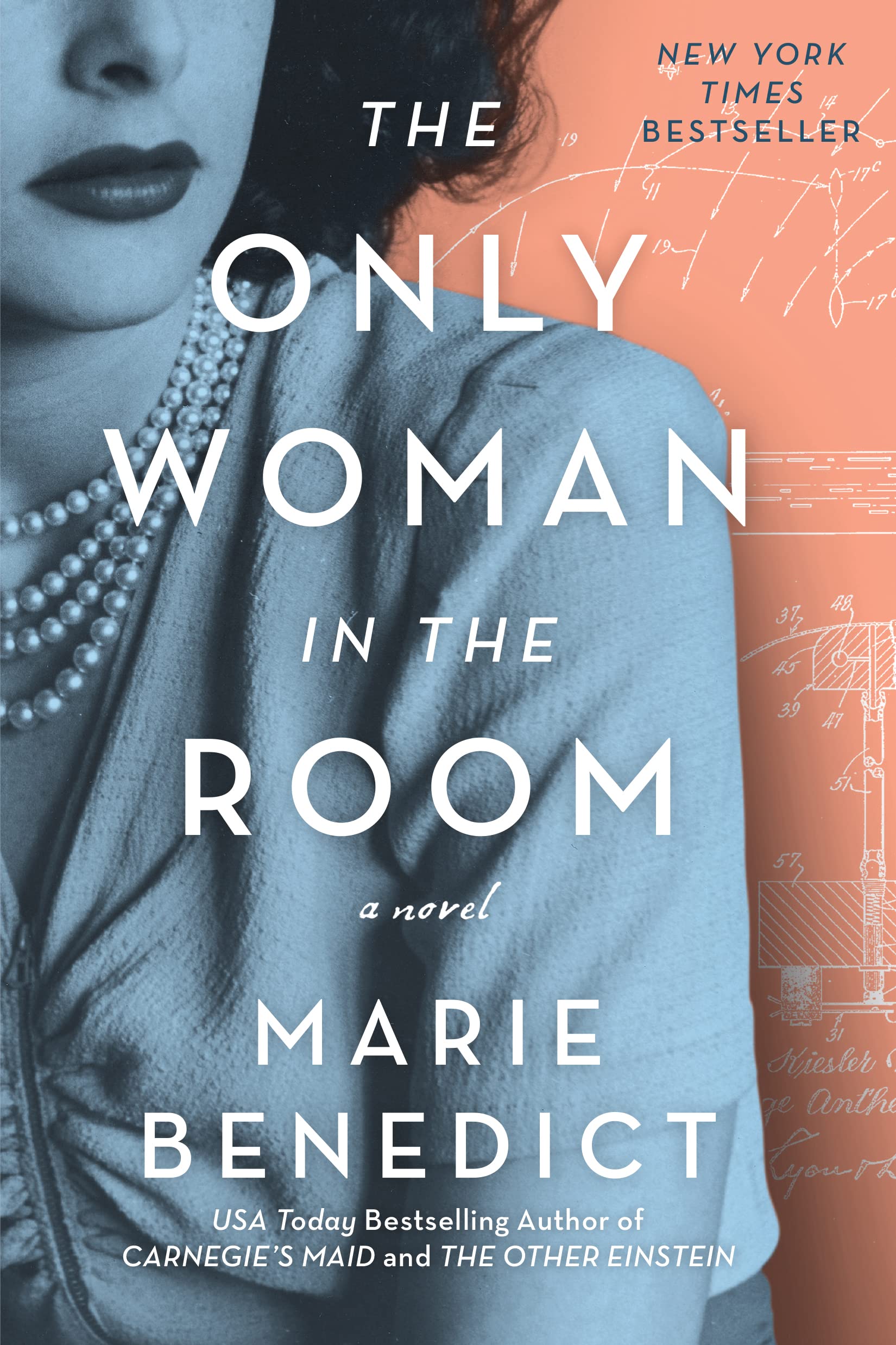 The Only Woman in the Room: A Novel used book depot