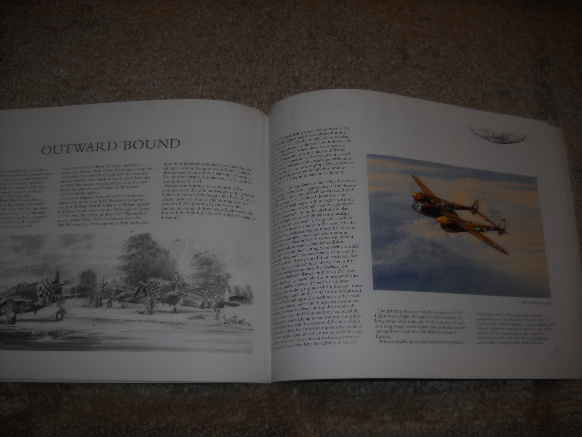 Robert Taylor Air Combat Paintings (Volume III) used book depot