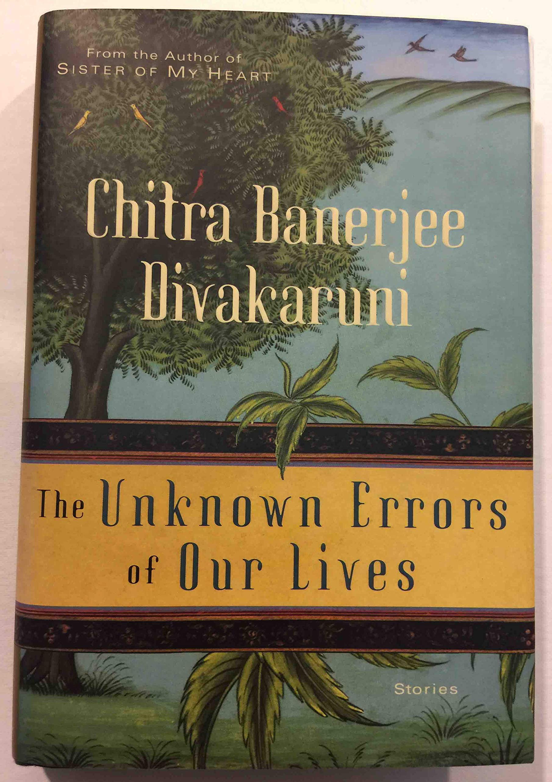 The Unknown Errors of Our Lives used book depot