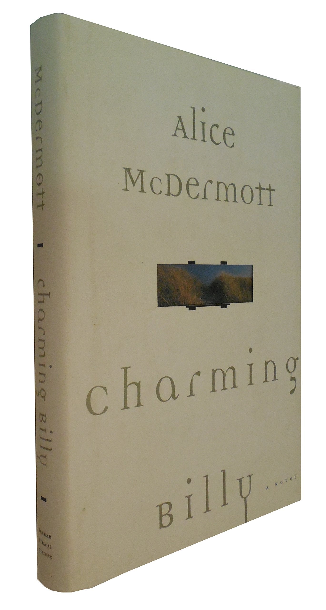 Charming Billy used book depot