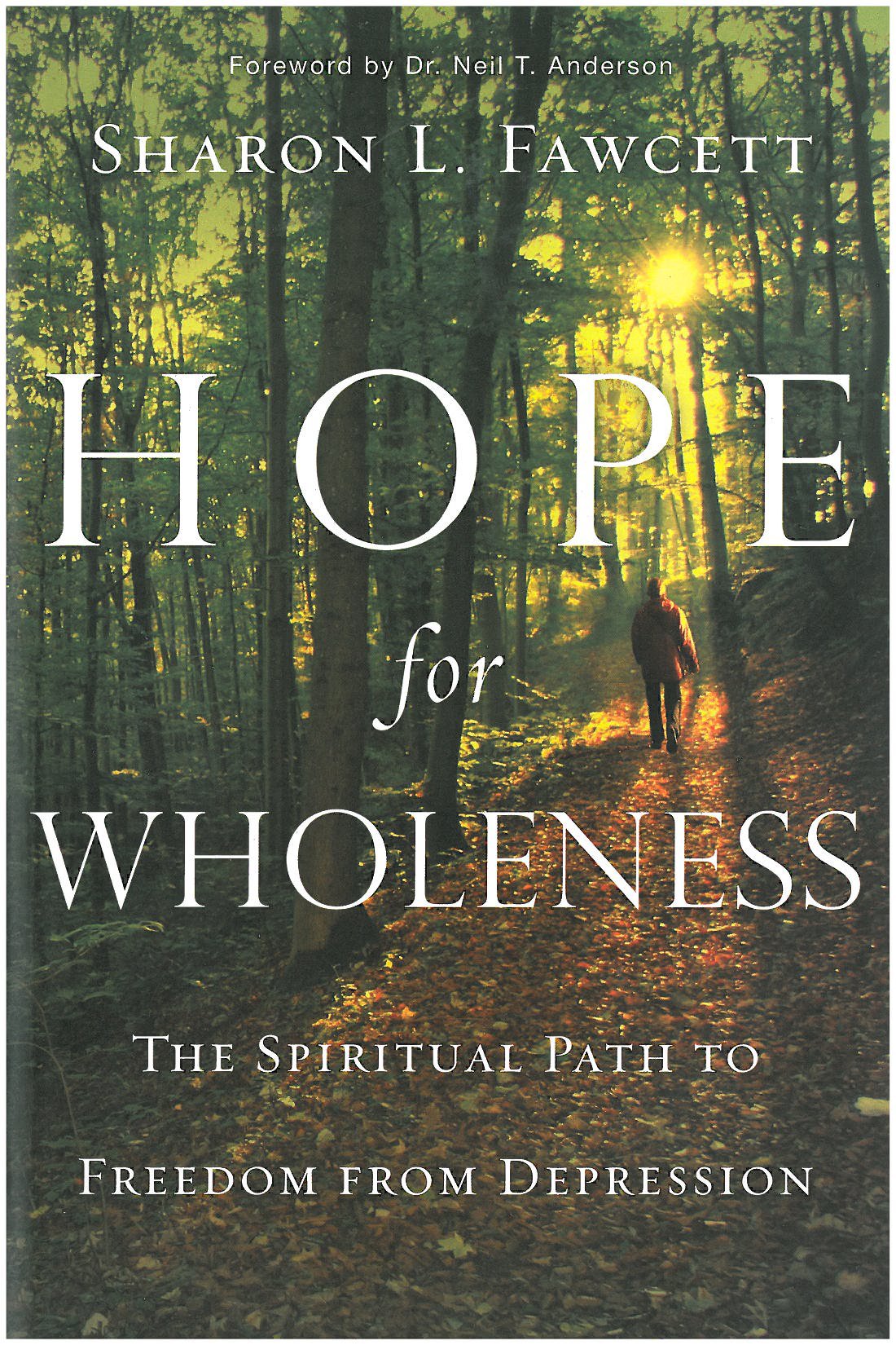 Hope for Wholeness: The Spiritual Path to Freedom from Depression used book depot