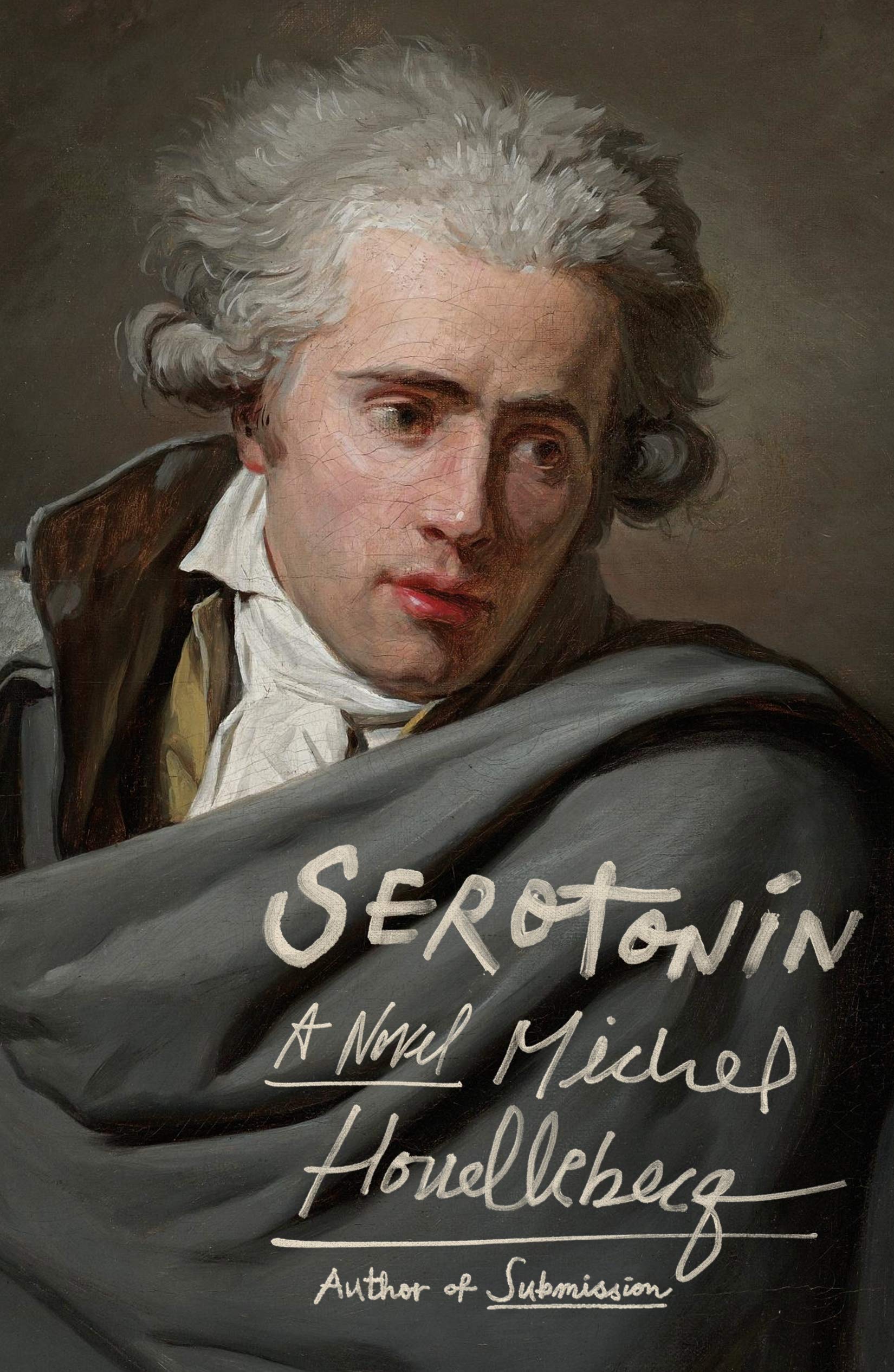 Serotonin: A Novel used book depot