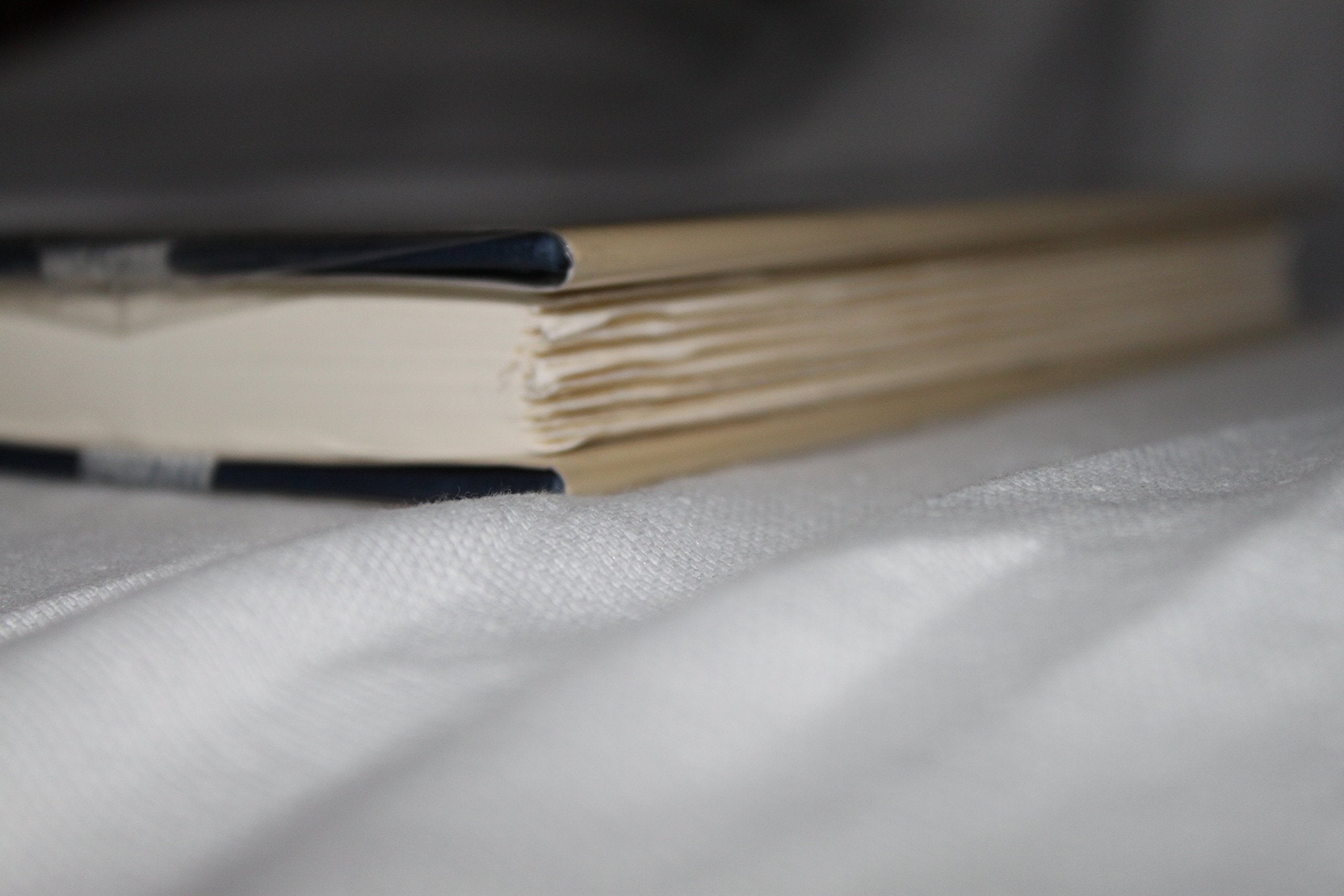 Two Lives: Gertrude and Alice used book depot