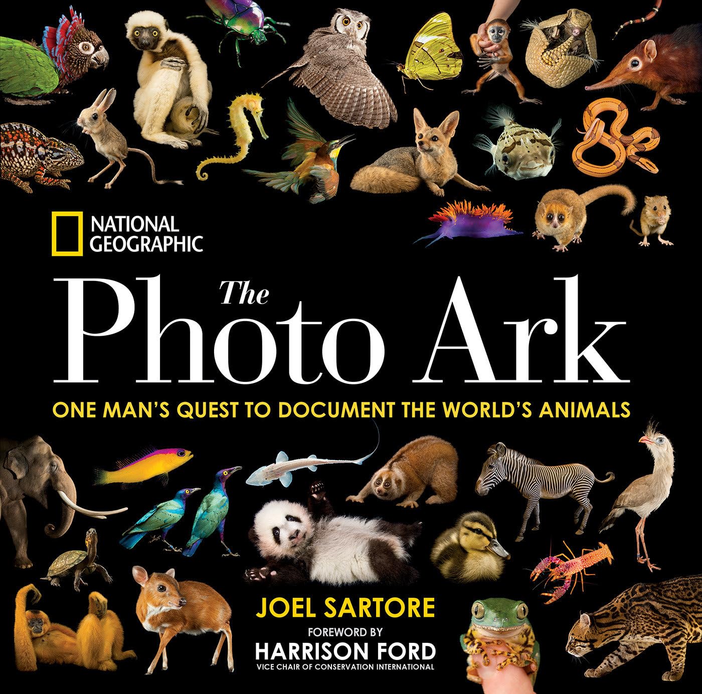 National Geographic The Photo Ark: One Man's Quest to Document the World's Animals used book depot