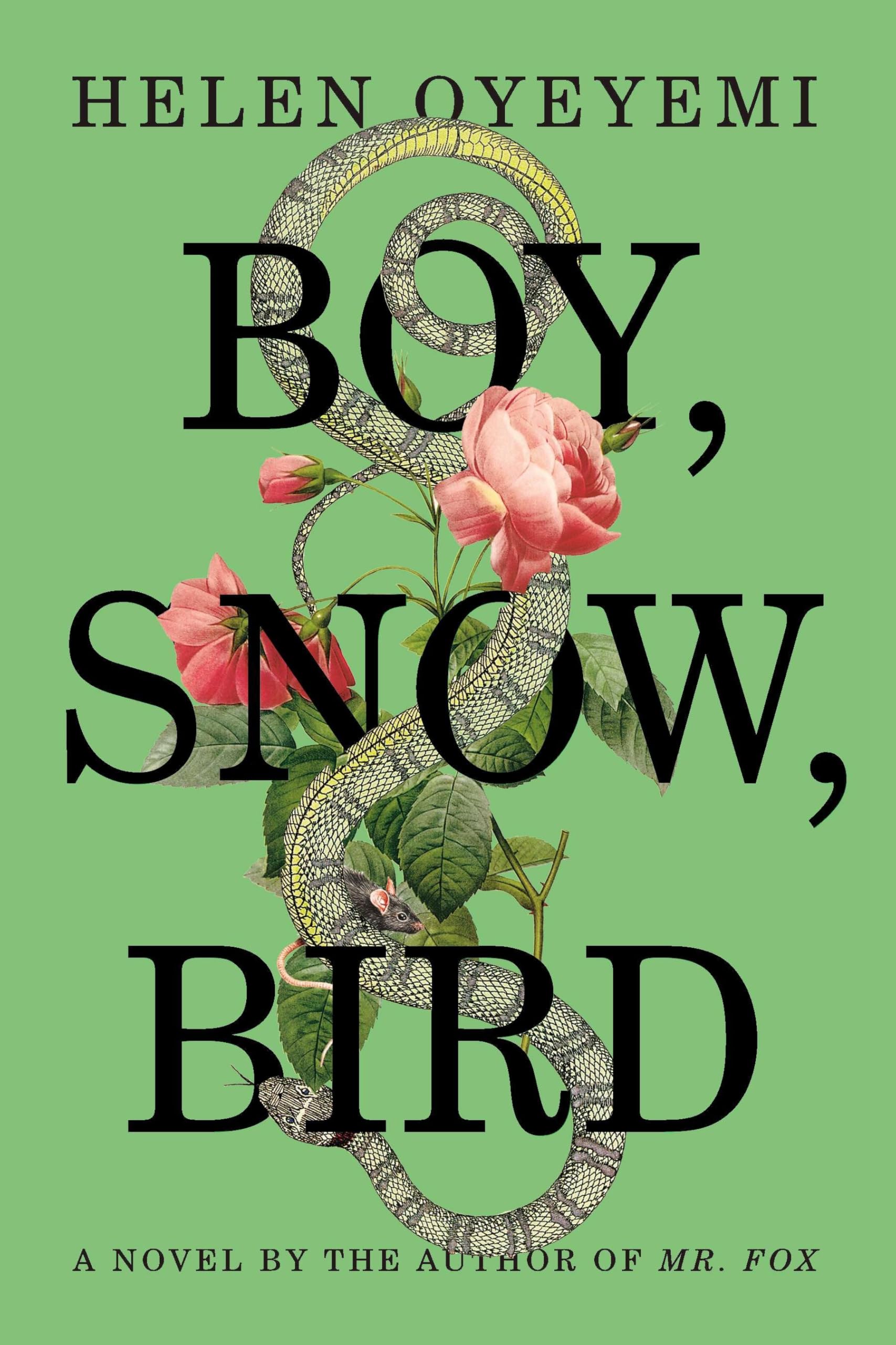 Boy, Snow, Bird: A Novel used book depot