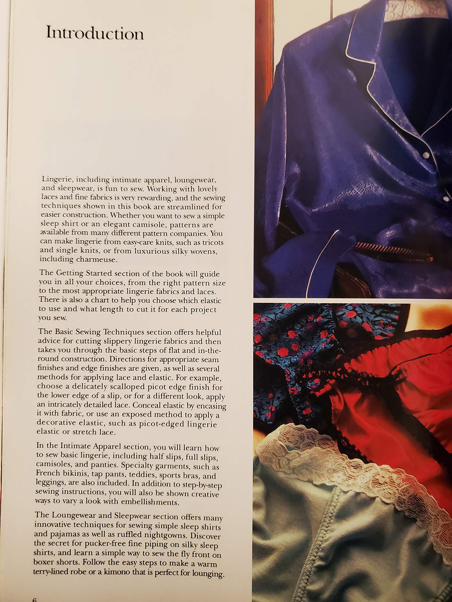 Sewing Lingerie (Singer Sewing Reference Library) used book depot