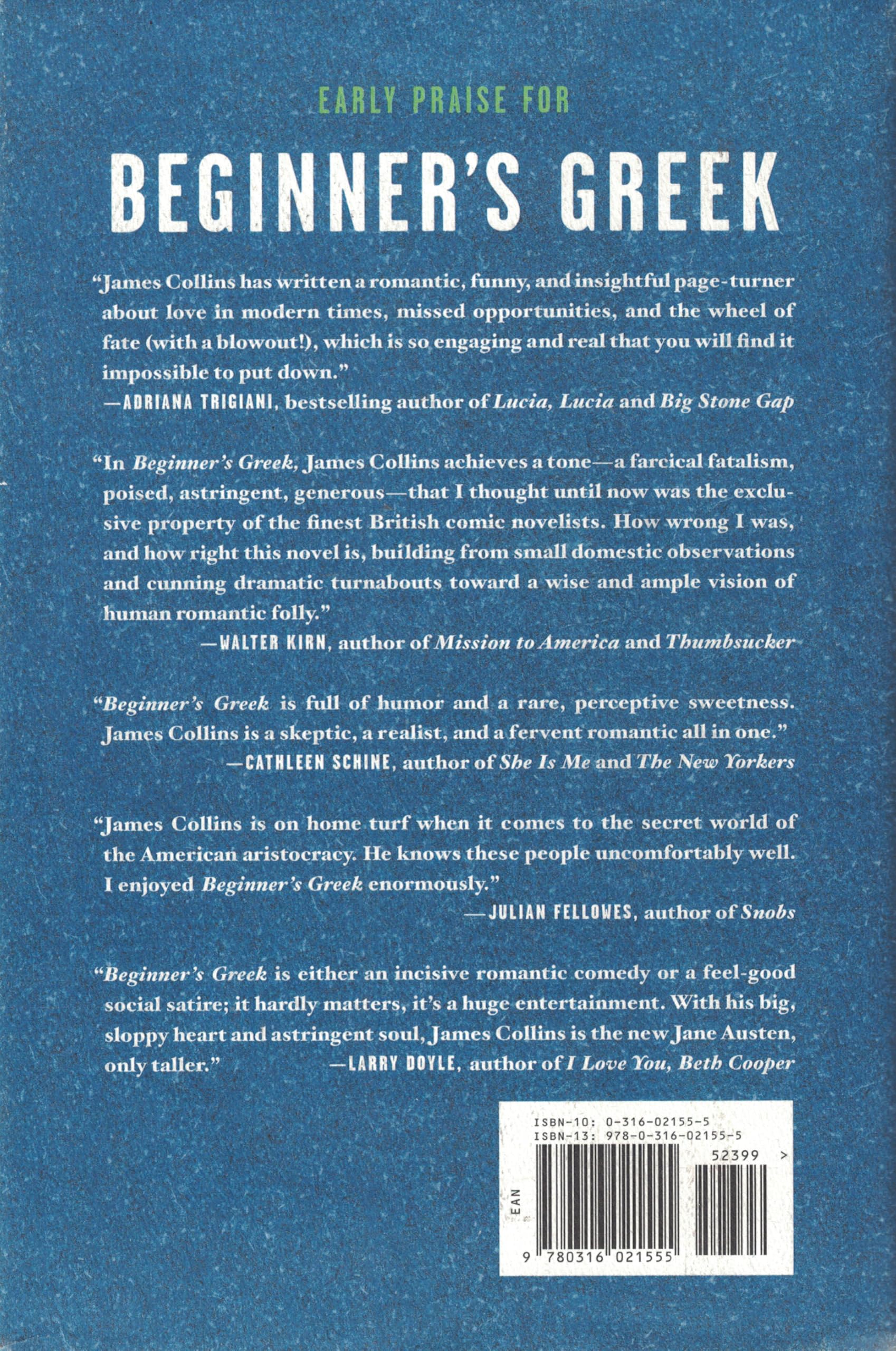 Beginner's Greek: A Novel used book depot