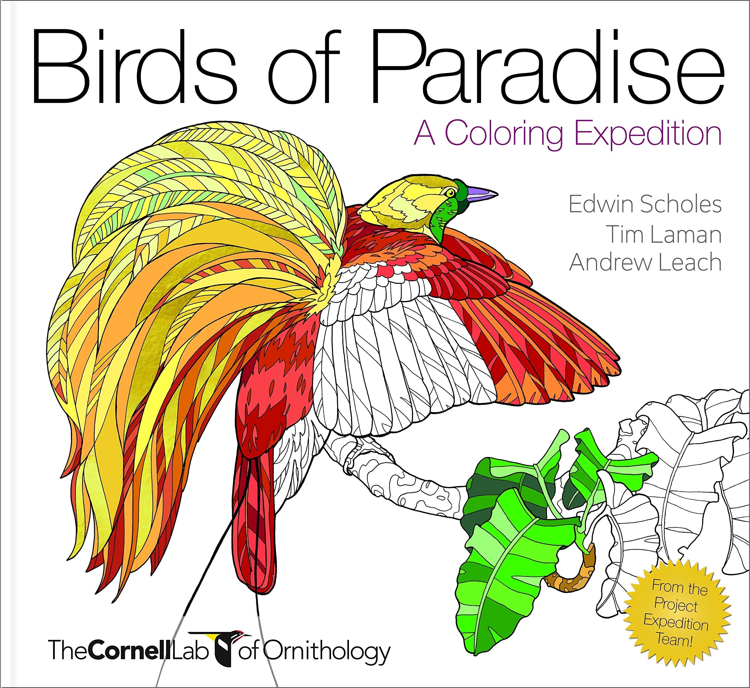 BIRDS OF PARADISE (TP) Cornell Lab Publishing (Cornell Lab of Ornithology) used book depot