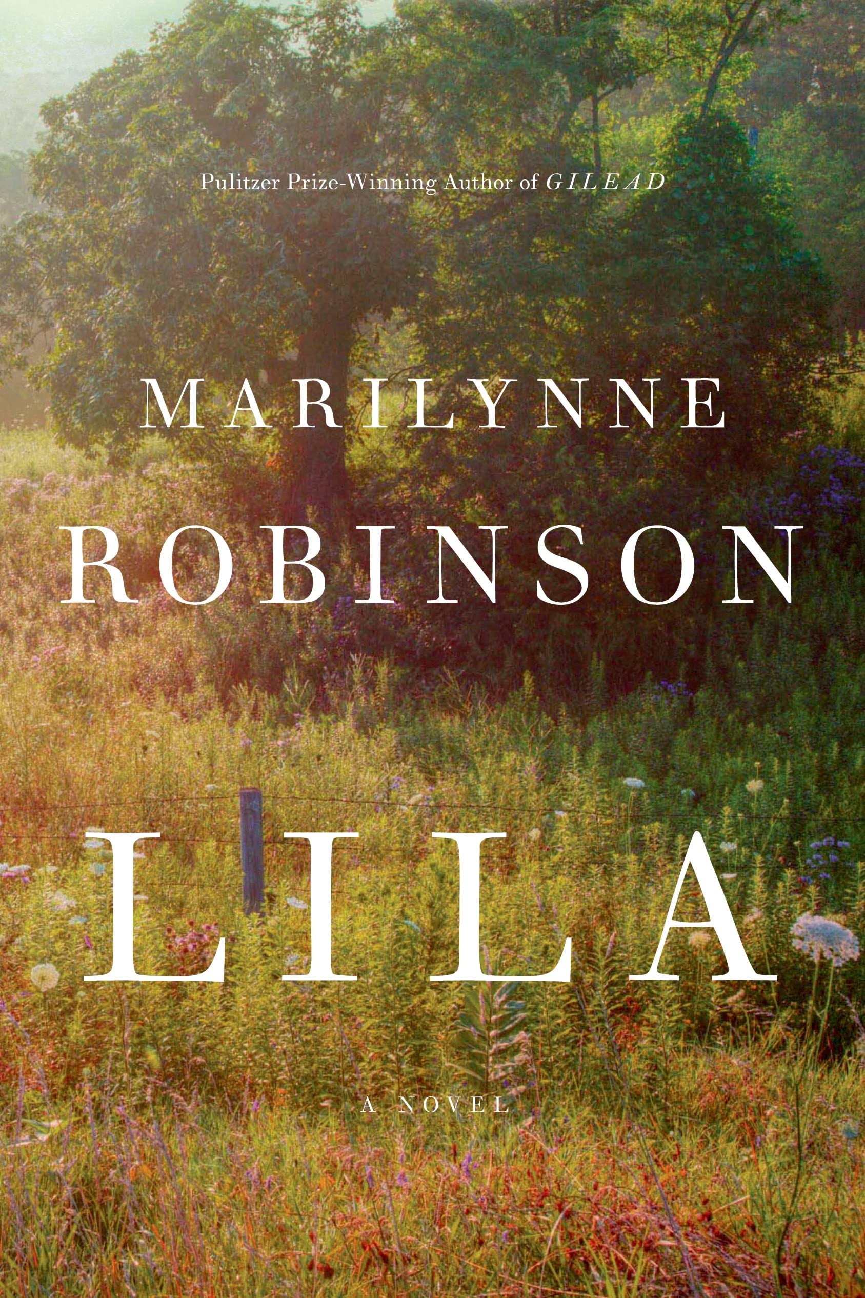 Lila (Oprah's Book Club): A Novel used book depot