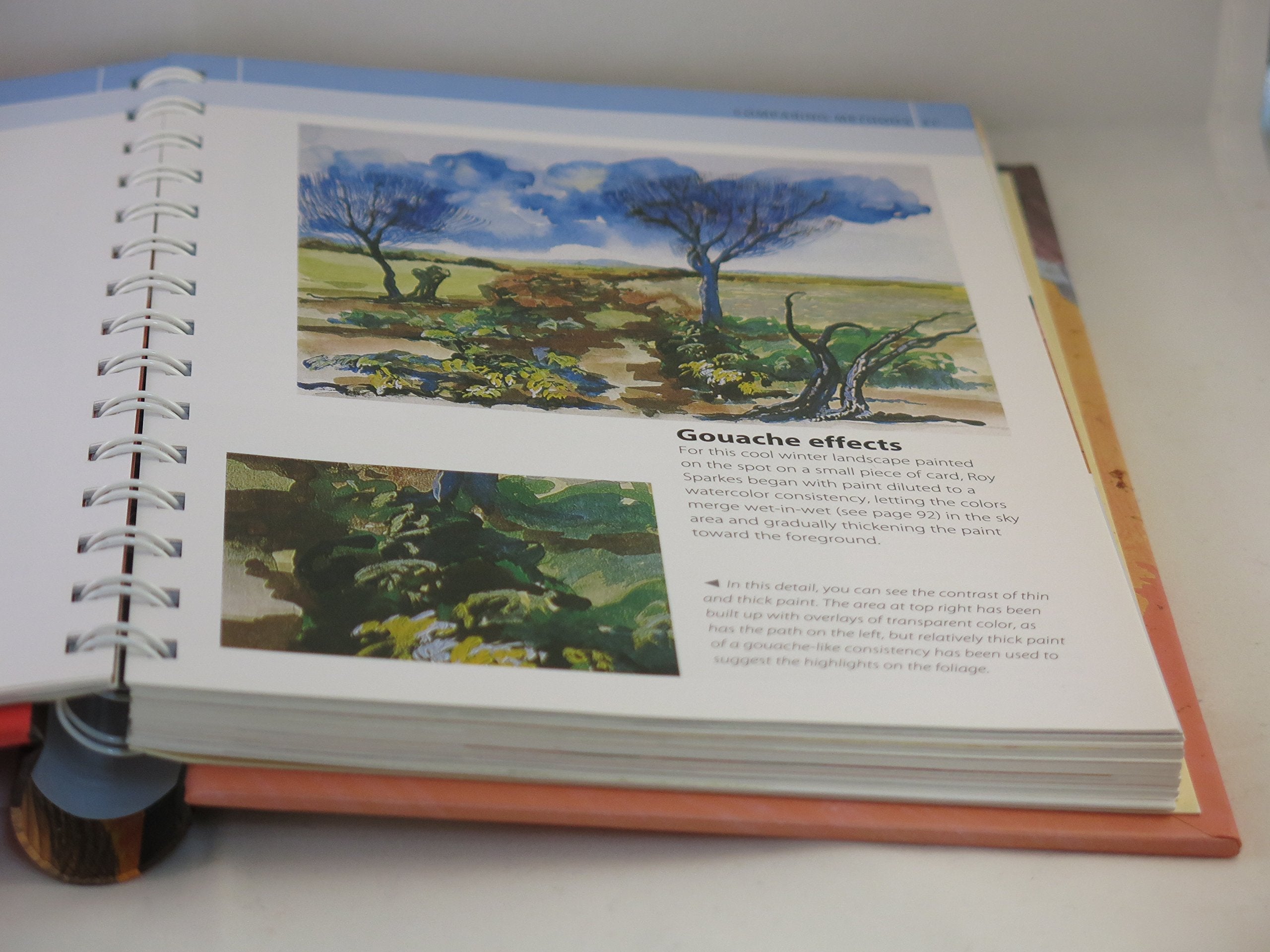 Acrylic Artist's Bible (Artist's Bibles) used book depot
