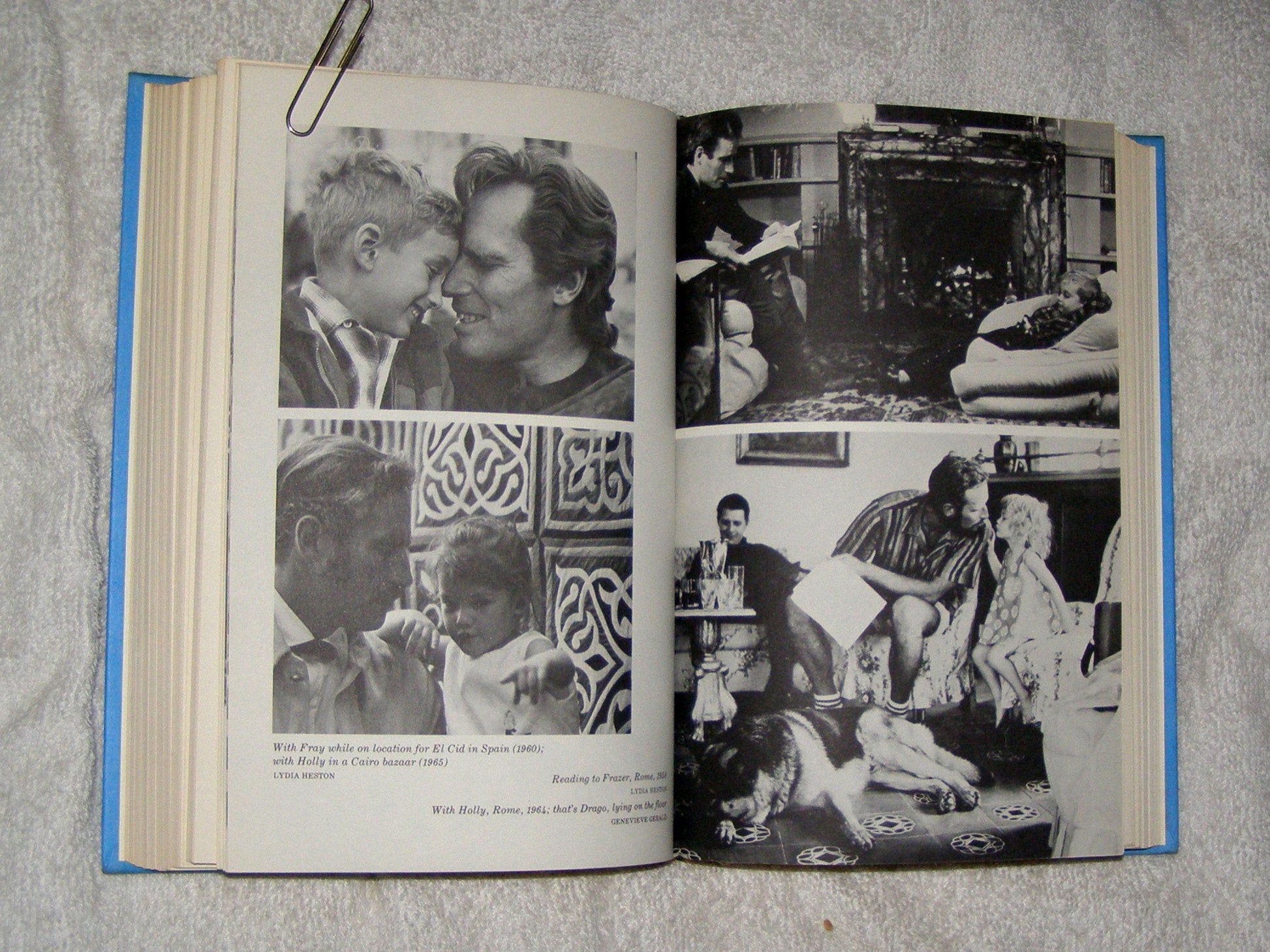 The Actors Life: Journals 1956-1976 used book depot