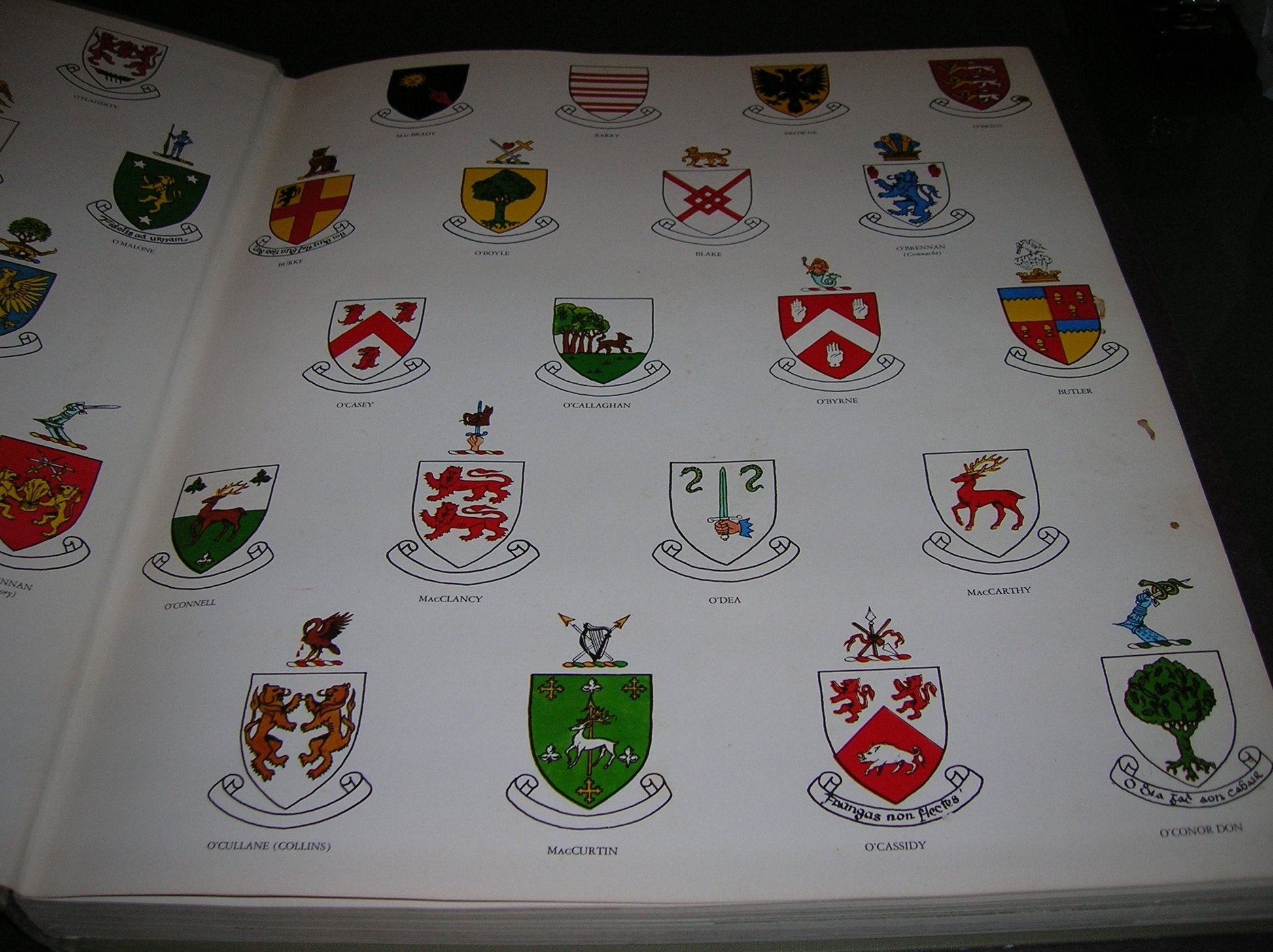 Ireland: A Terrible Beauty used book depot