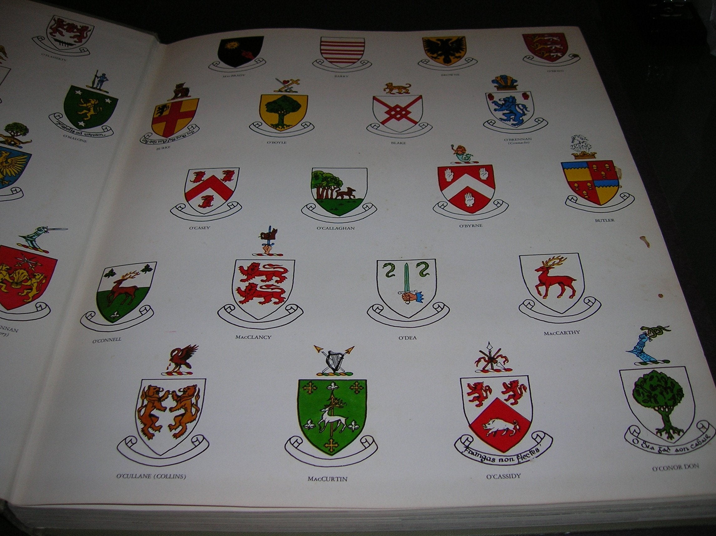 Ireland: A Terrible Beauty used book depot