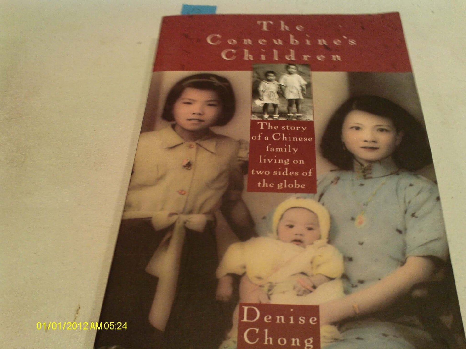 The Concubine's Children used book depot