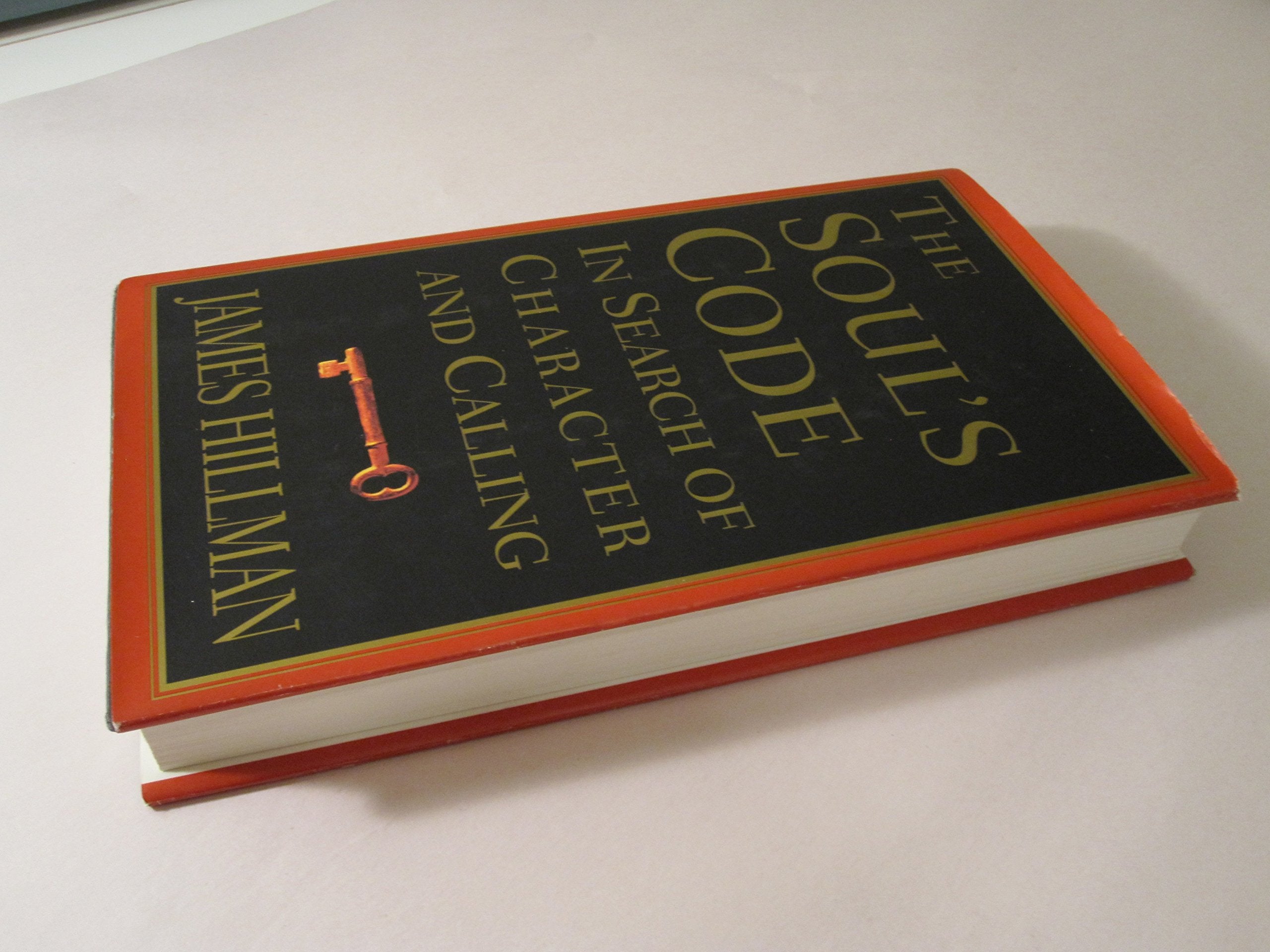 The Soul's Code: In Search of Character and Calling used book depot