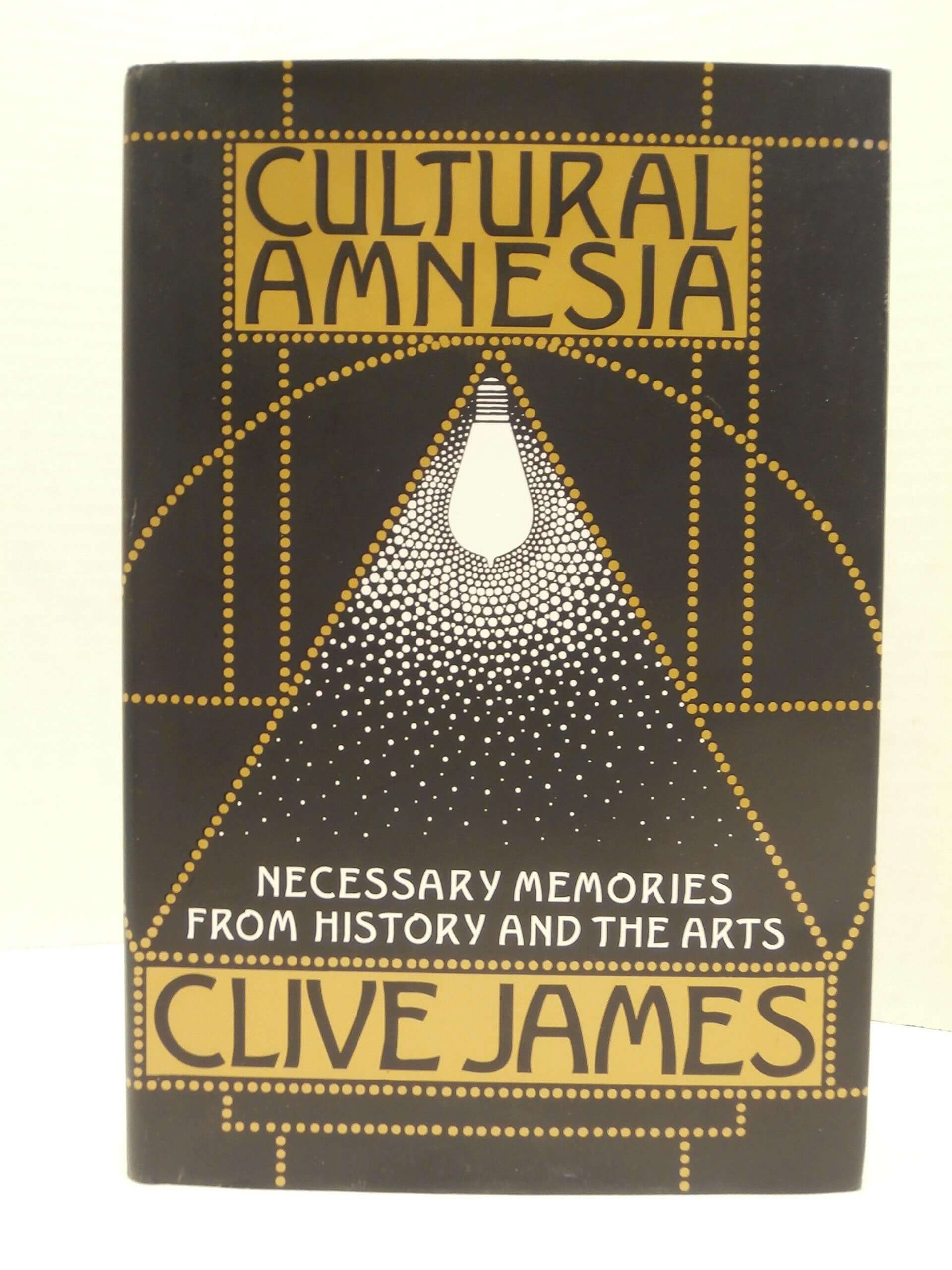 Cultural Amnesia: Necessary Memories from History and the Arts used book depot