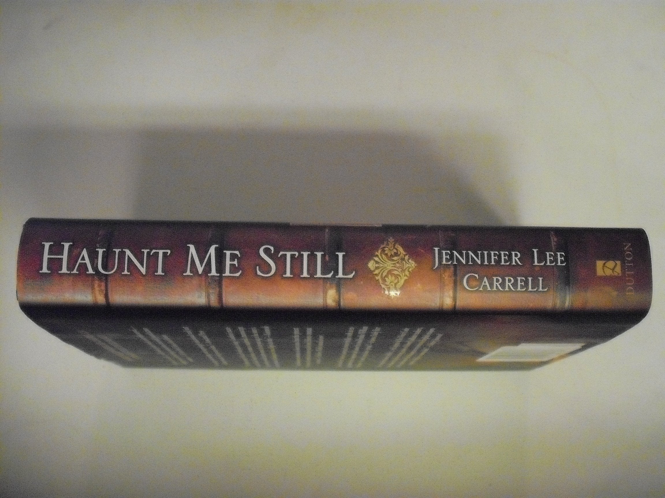 Haunt Me Still used book depot