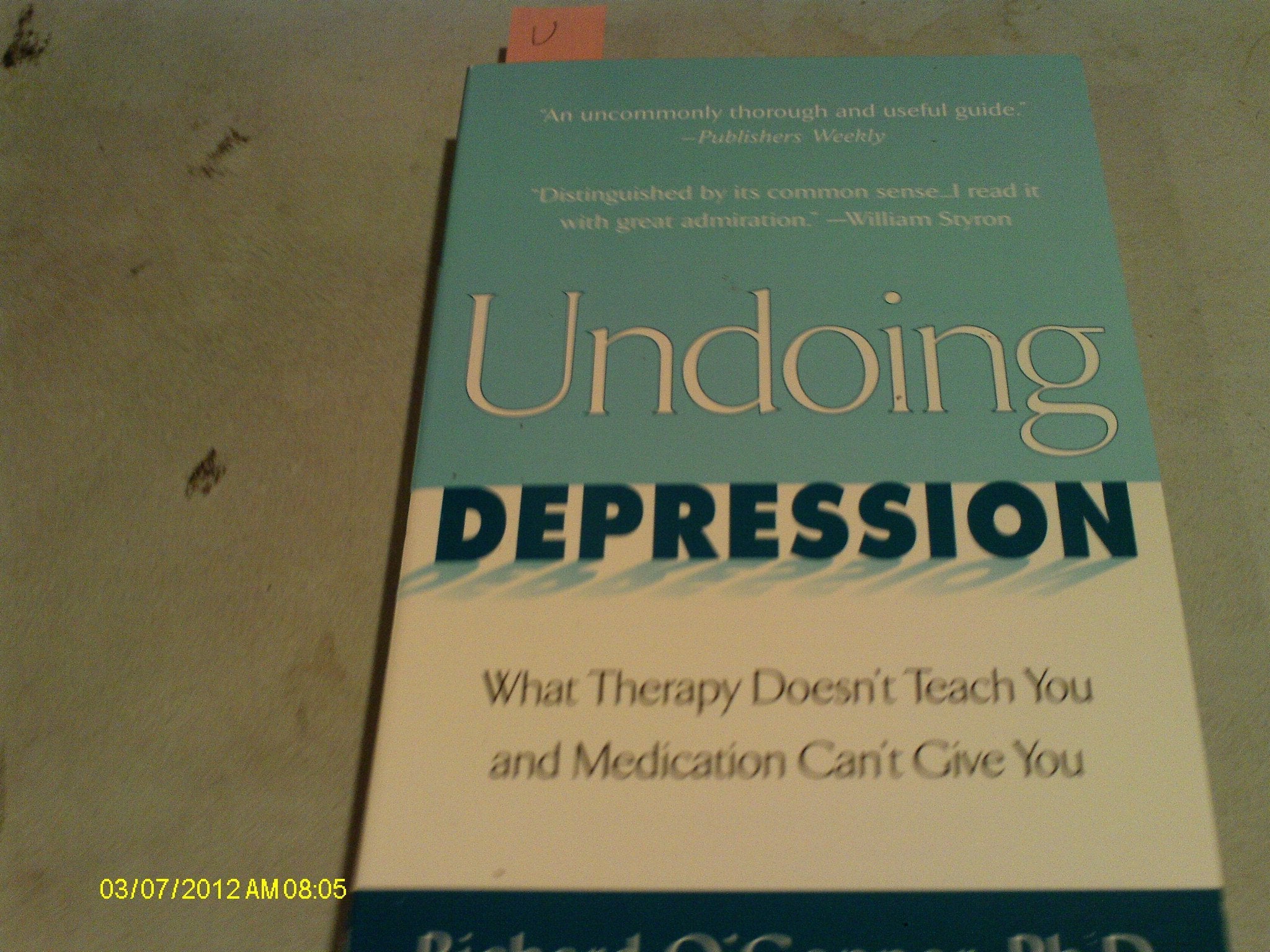 Undoing Depression: What Therapy Doesn't Teach You and Medication Can't Give You used book depot