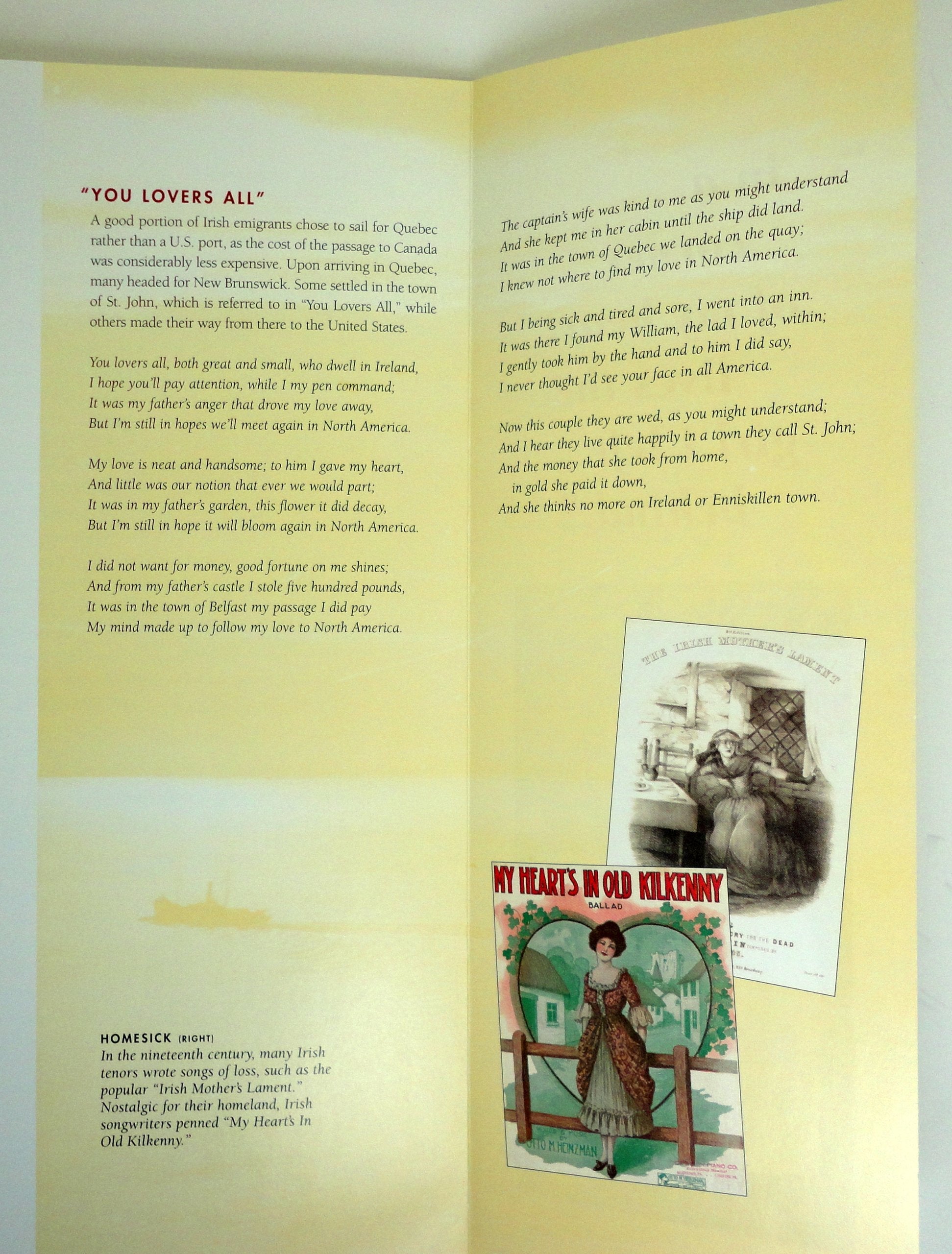 Far From the Shamrock Shore: The Story of Irish-American Immigration Through Song used book depot