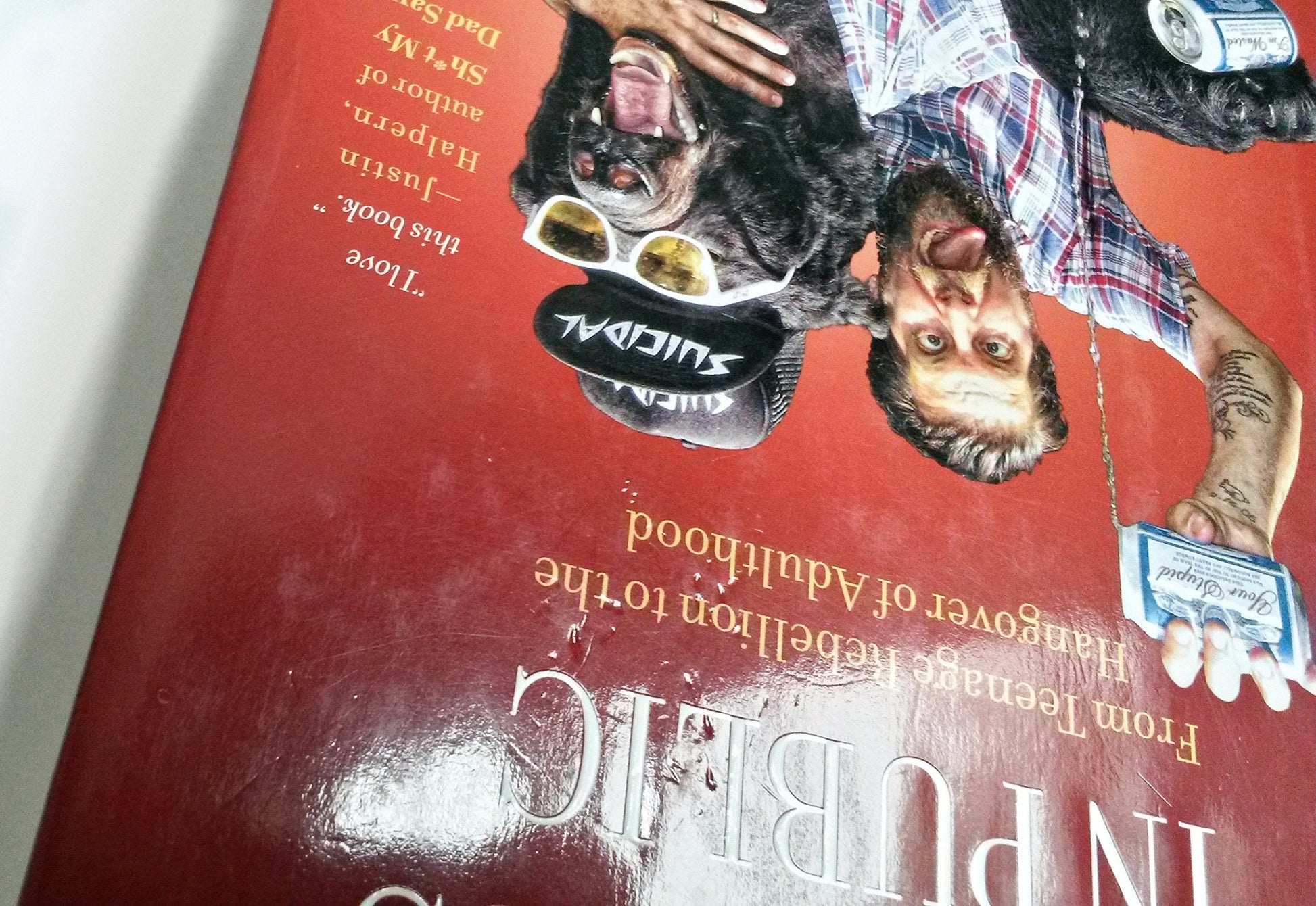 How to Piss in Public: From Teenage Rebellion to the Hangover of Adulthood used book depot