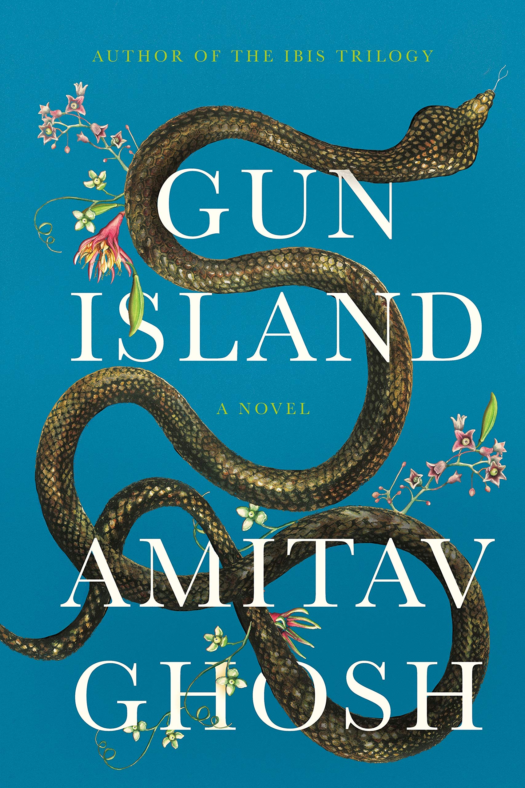 Gun Island: A Novel used book depot