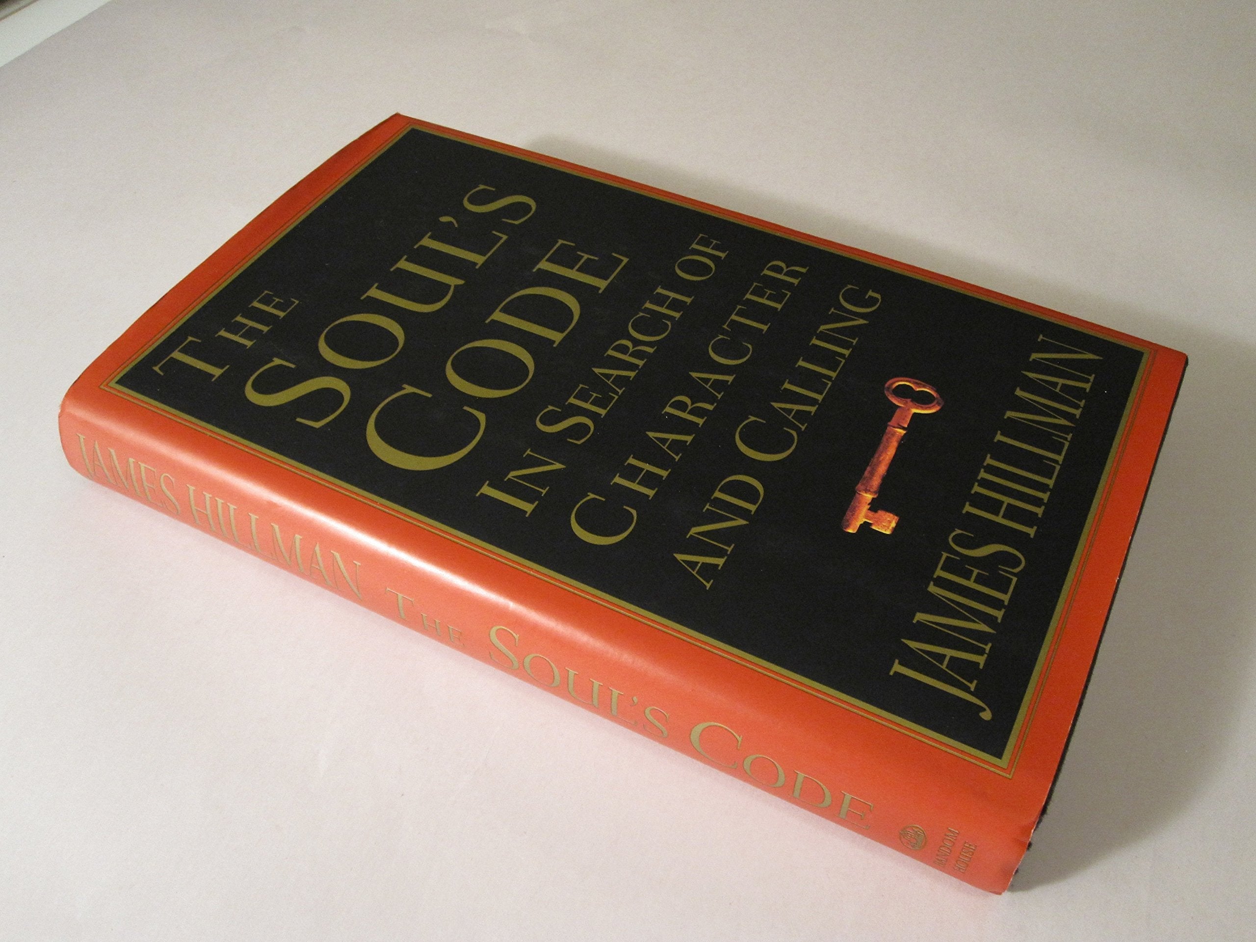 The Soul's Code: In Search of Character and Calling used book depot